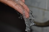 Close-up of hands washing with water and soap outdoors surrounded by green leaves.