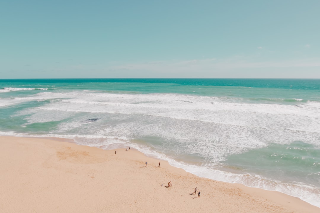aerial photography of sea, Drone view of sand beach