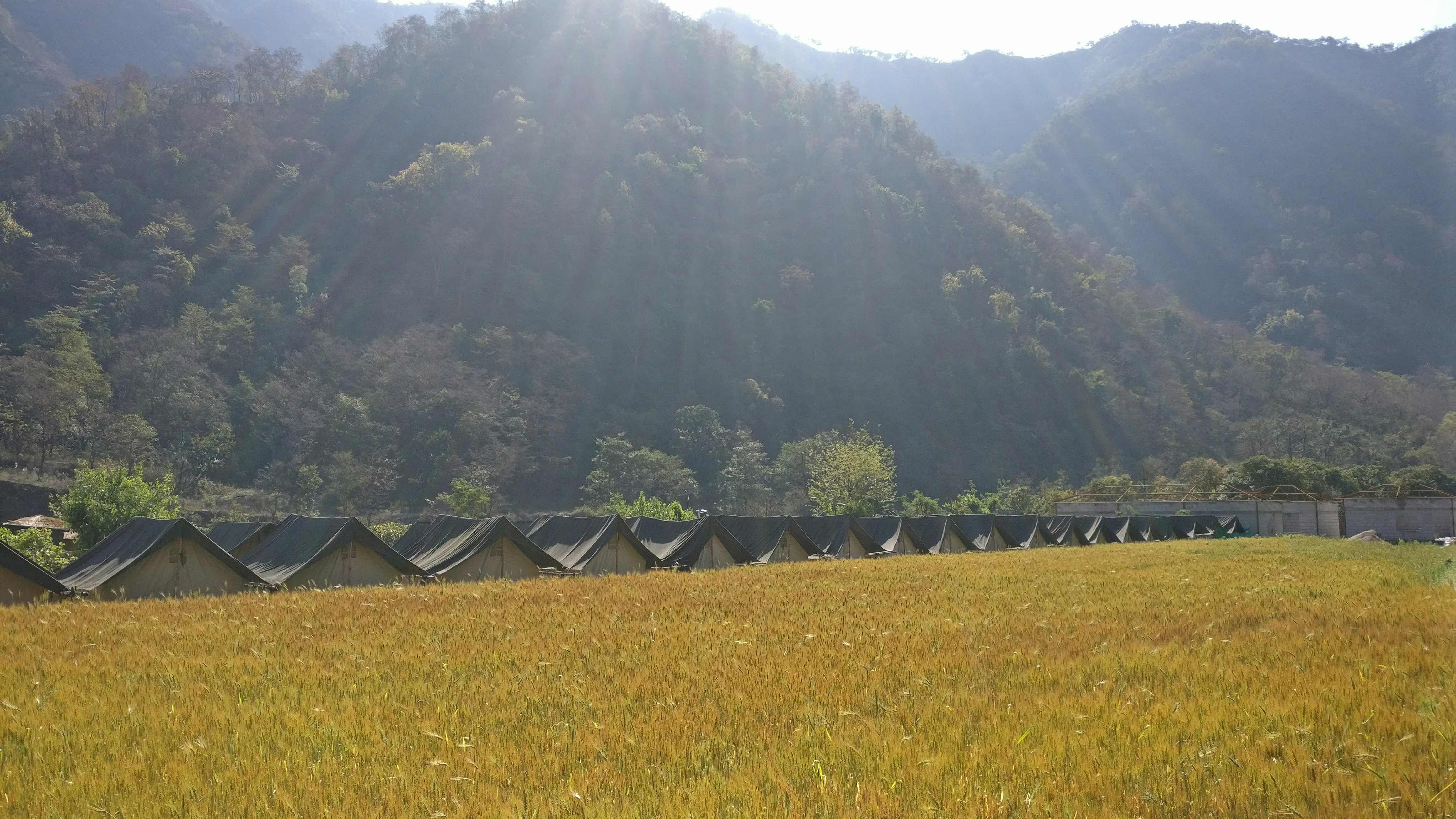 Free Unsplash photo from Akash Unni