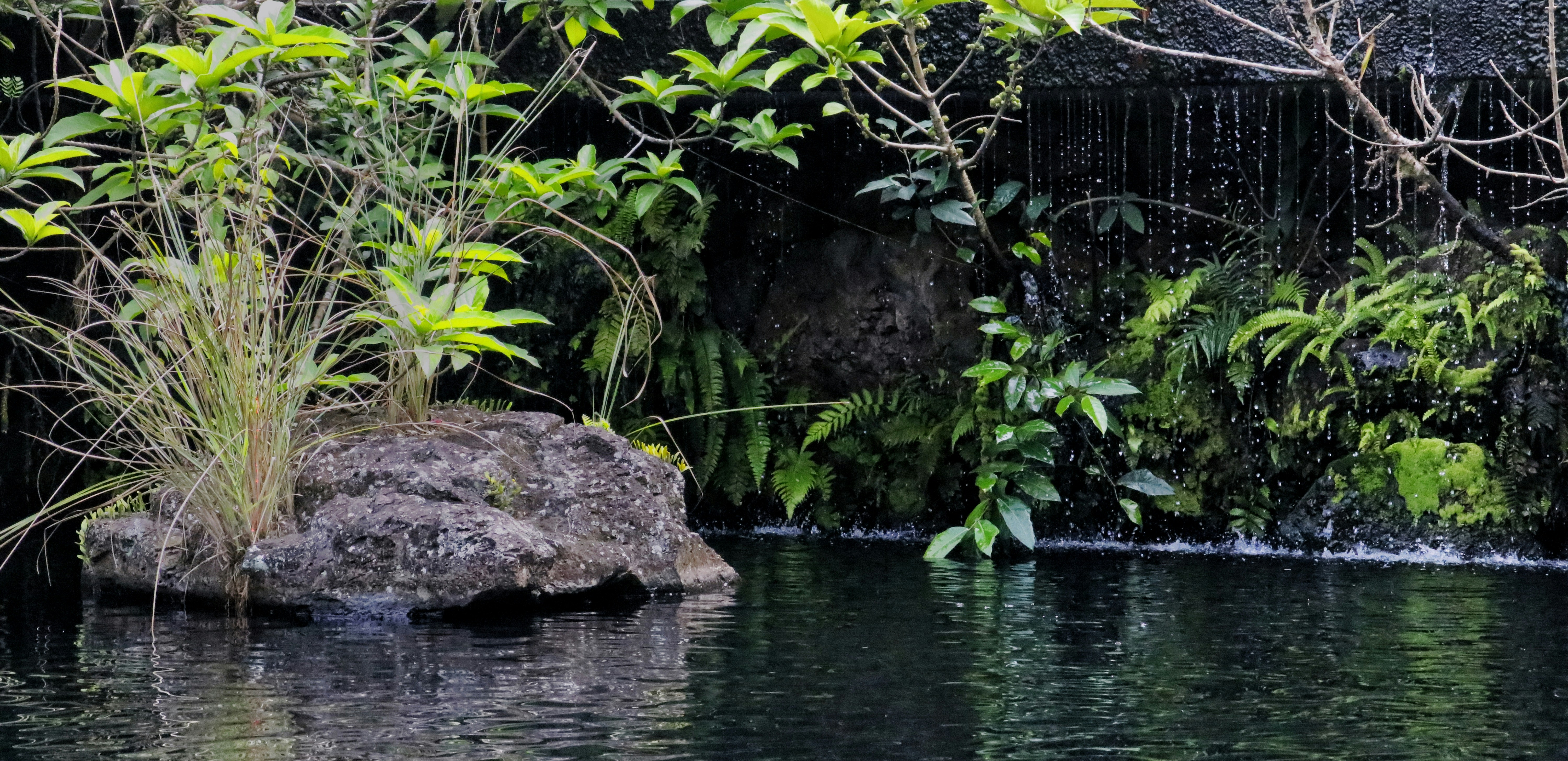 Free Unsplash photo from Mr Peanutbutter