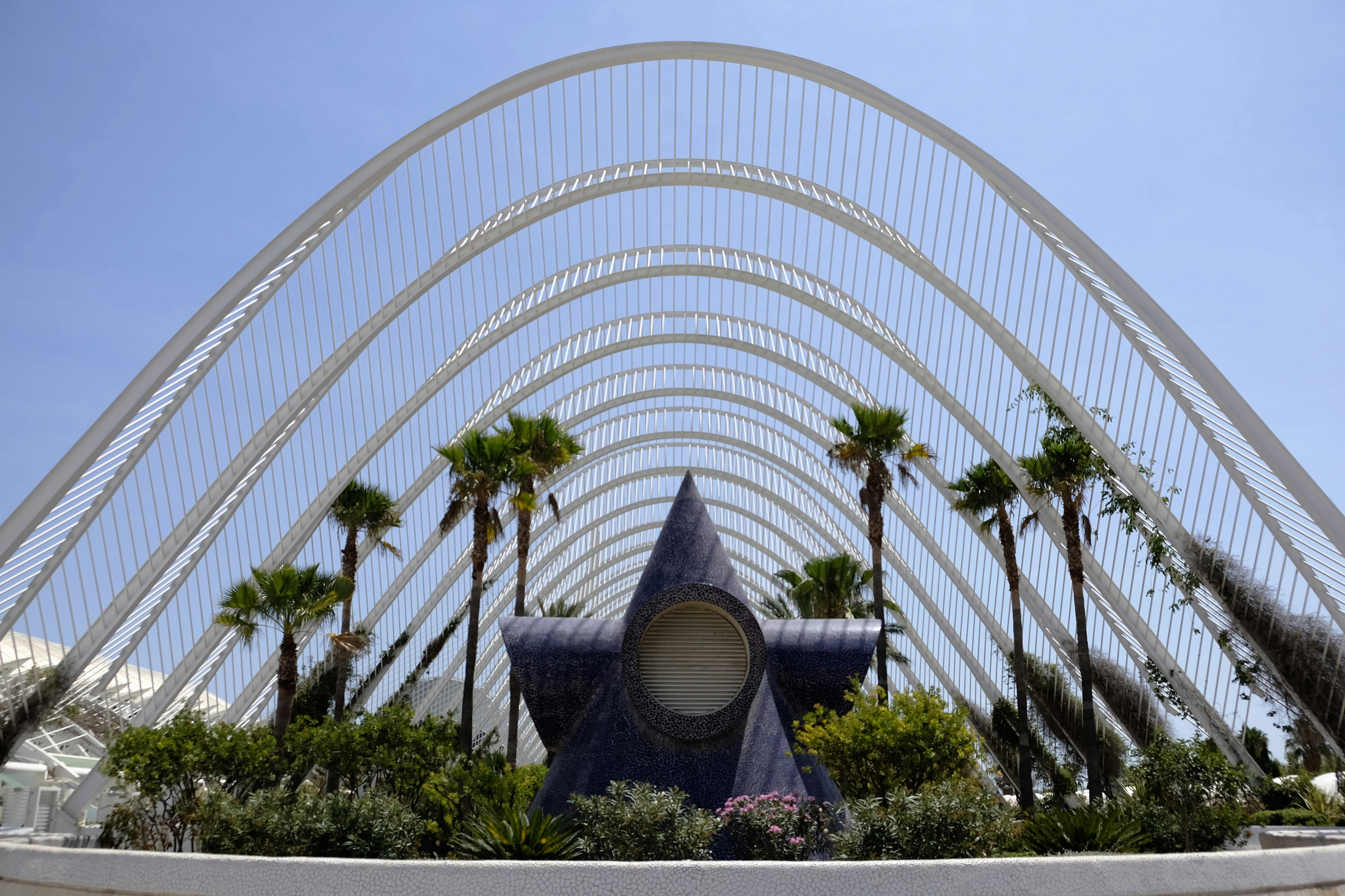 Free Unsplash photo from Leonor Benet Ruza