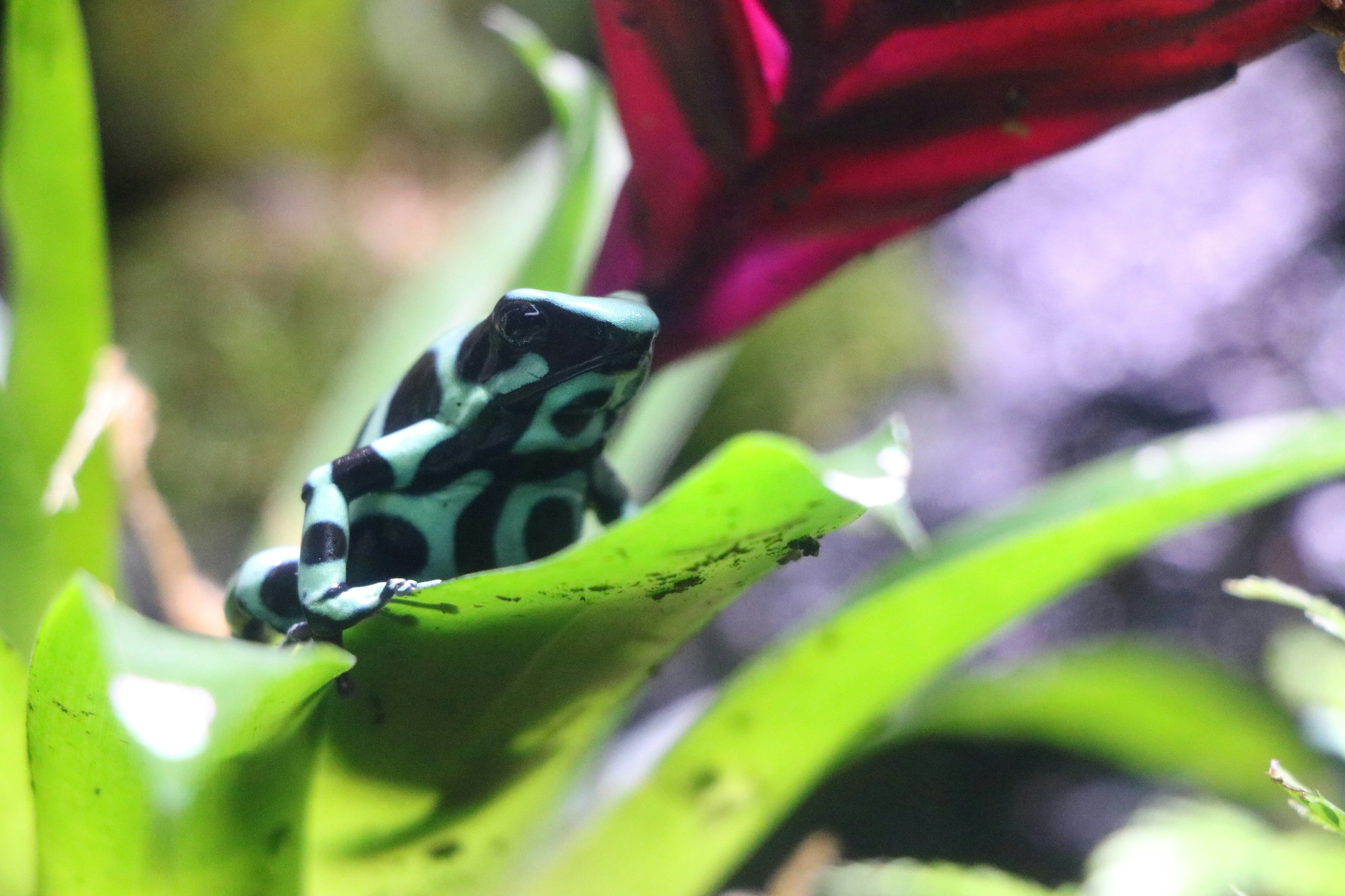 Free Unsplash photo from Matt Robey