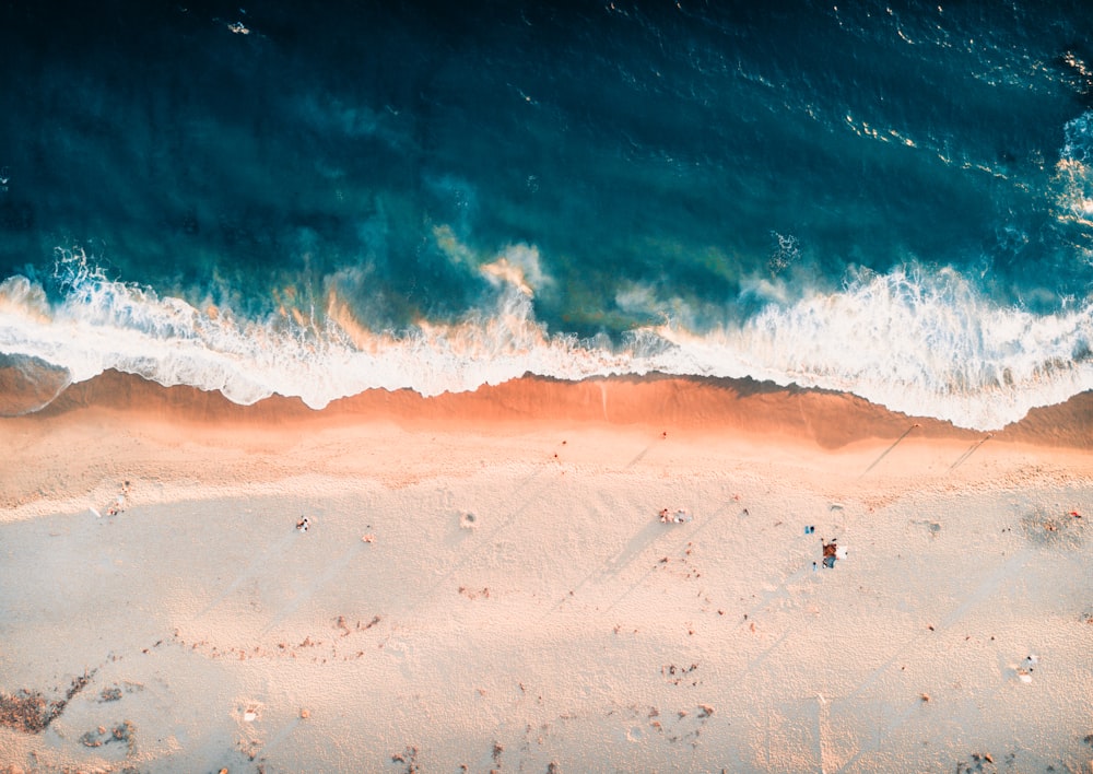 Vague au bord de la mer