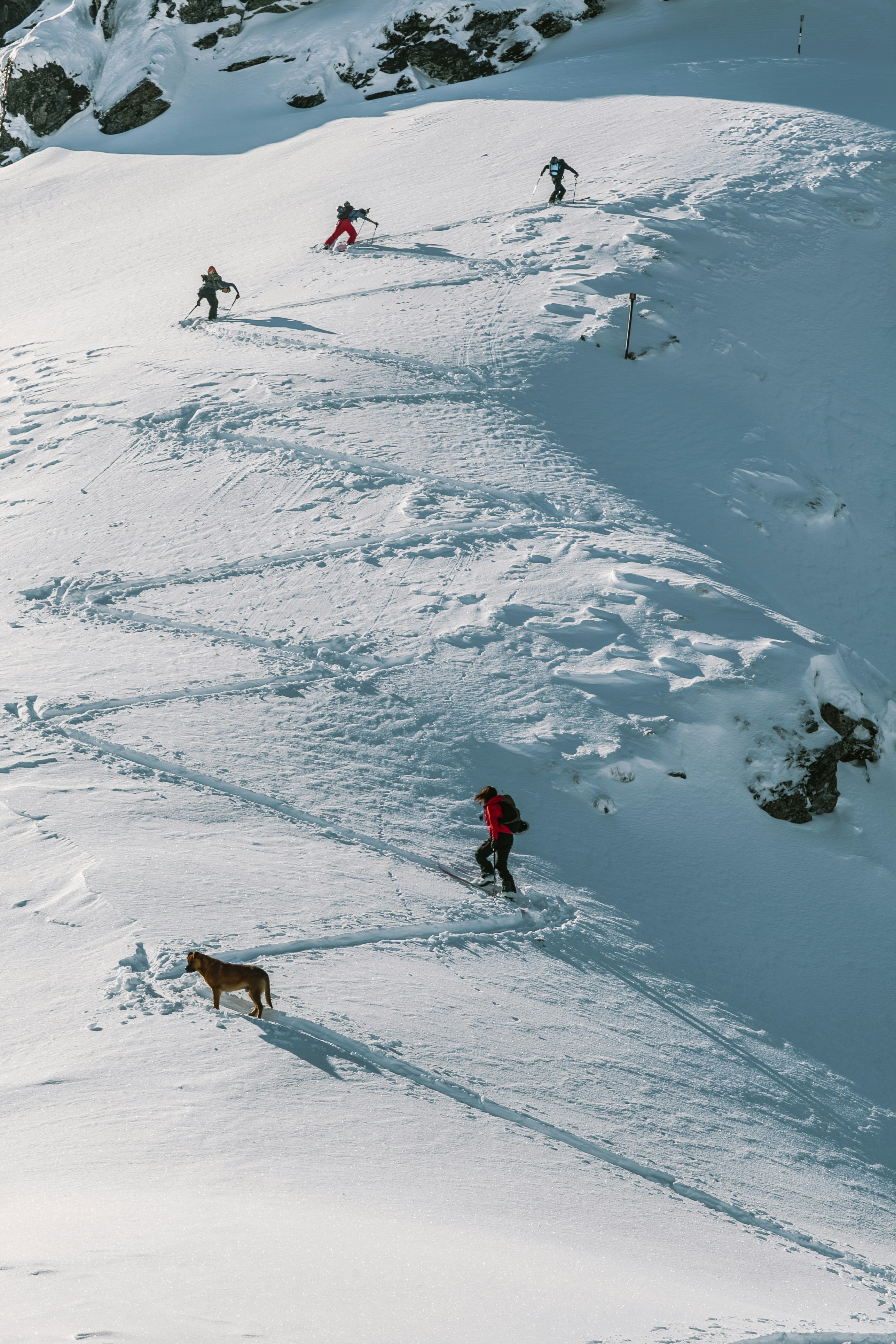 Free Unsplash photo from Cristian Grecu