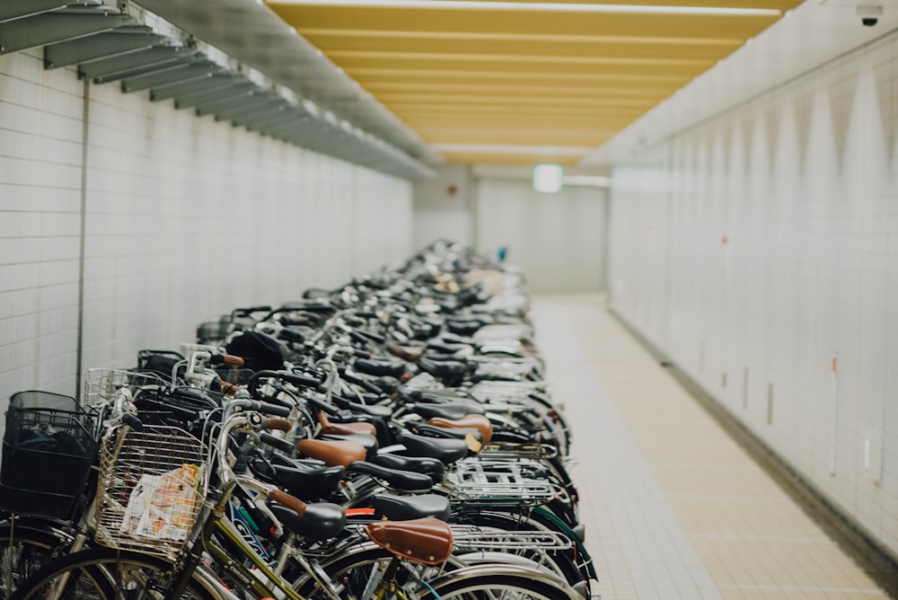 Lote de bicicletas variado dentro do edifício