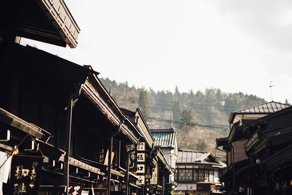 brown houses