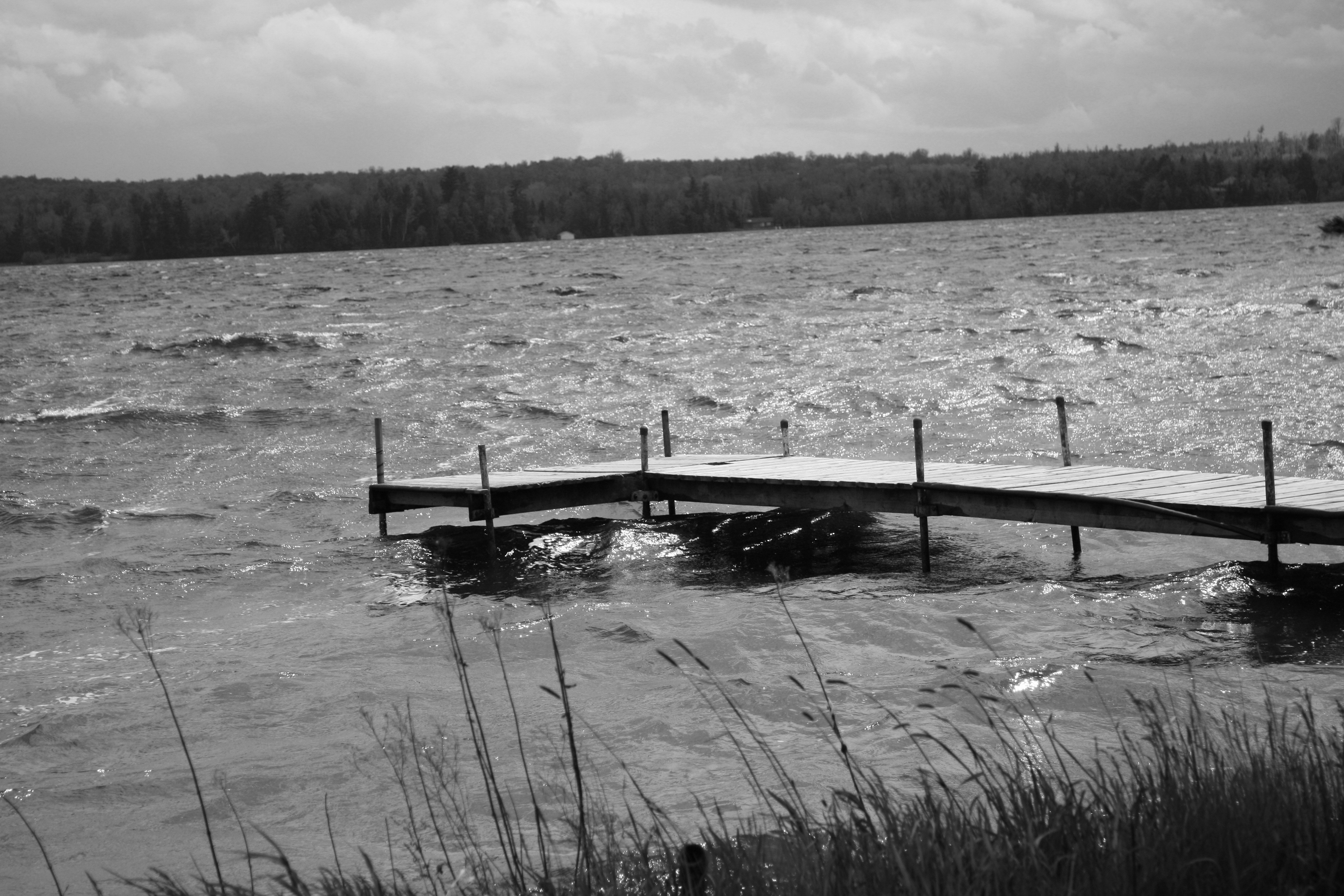 Free Unsplash photo from Becky Howen