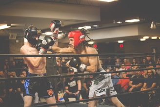 Two boxers are engaged in an intense match inside a boxing ring, one wearing a black headgear and the other in red. The audience is present in the background, watching the fight with interest. The scene is lively with bright overhead lights illuminating the setting.