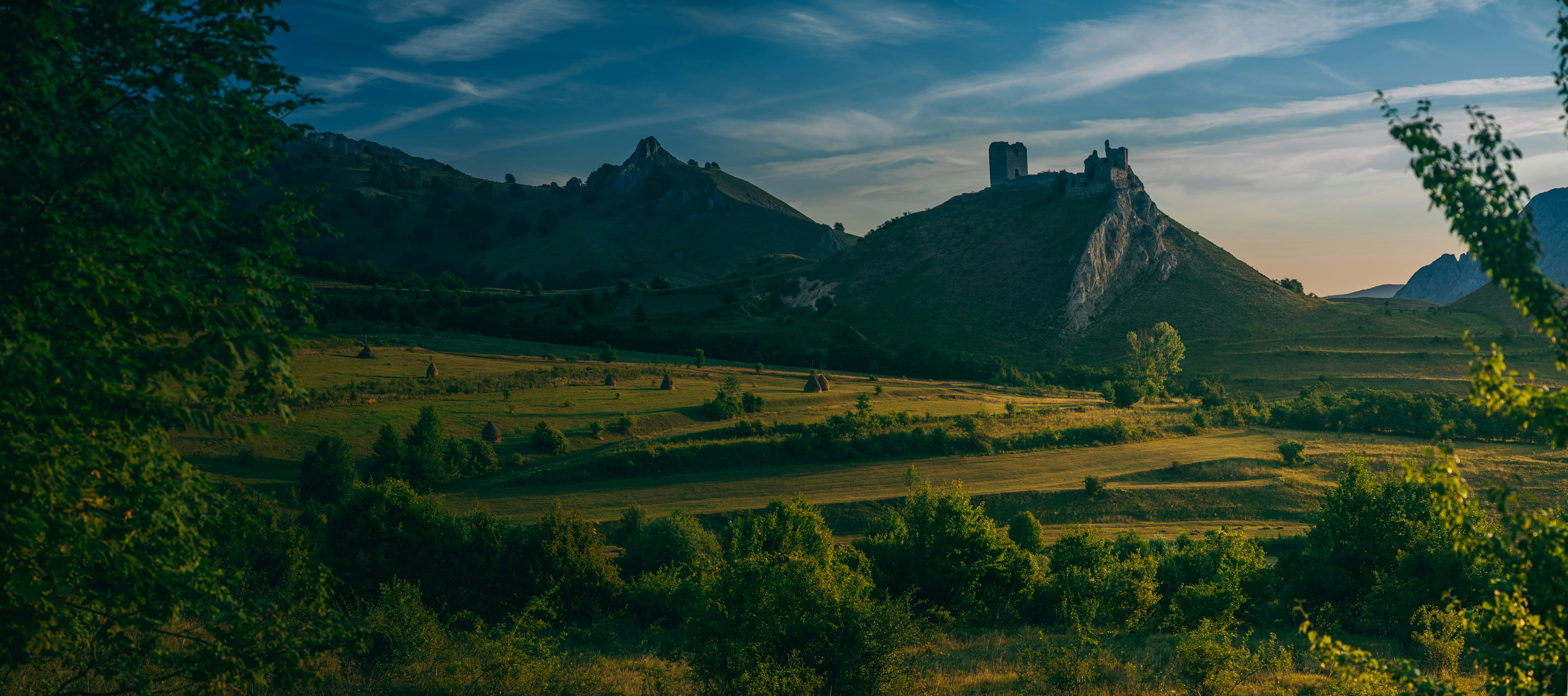 Free Unsplash photo from Cristian Grecu