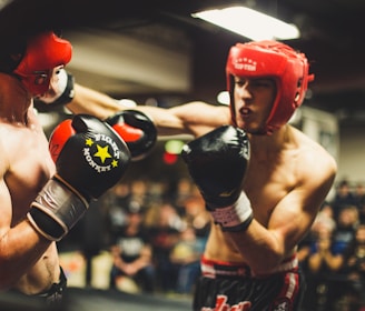 two man playing boxing