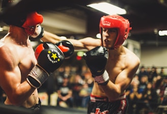 two man playing boxing