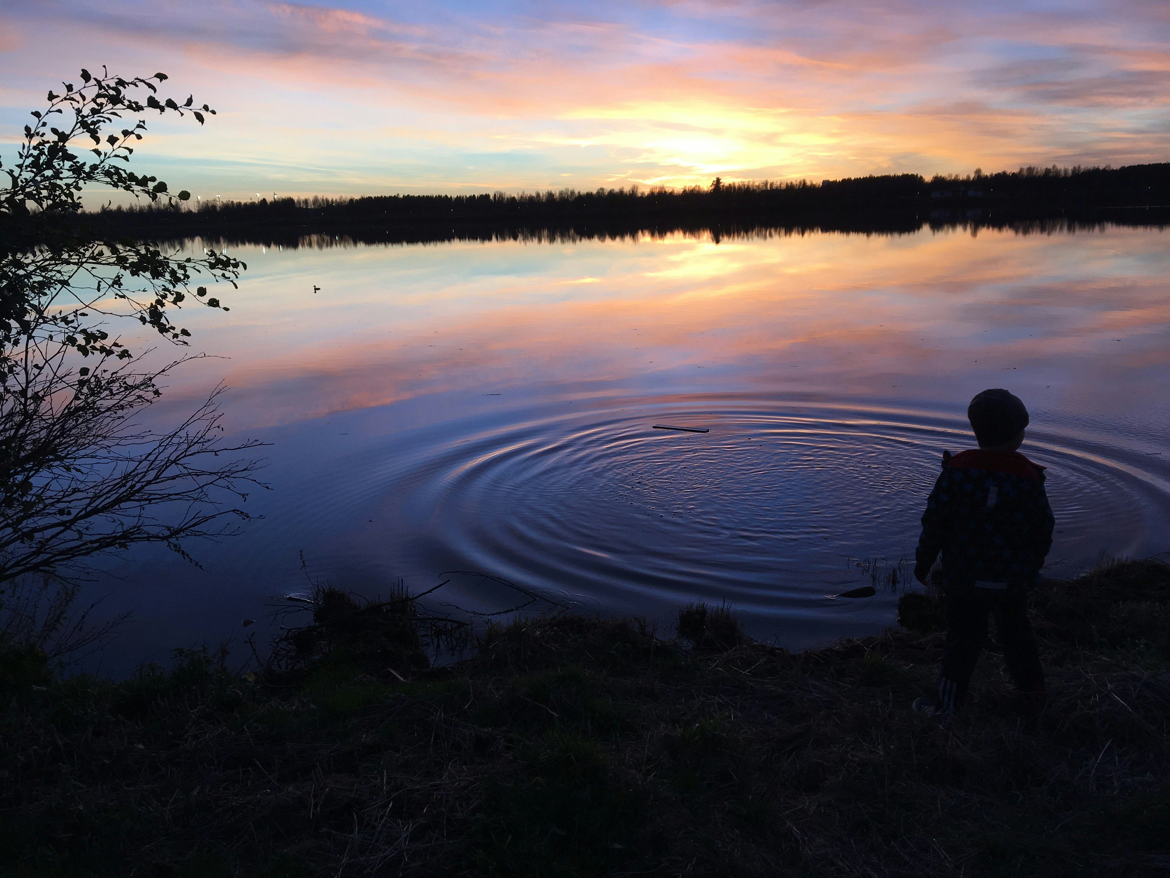 Free Unsplash photo from Miia Luonua-Bajrami