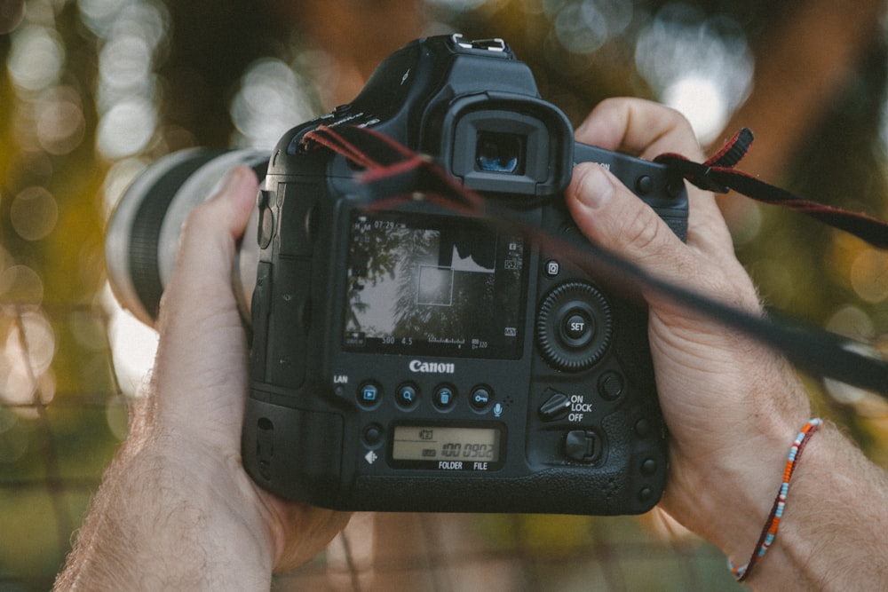 person holding DSLR camera