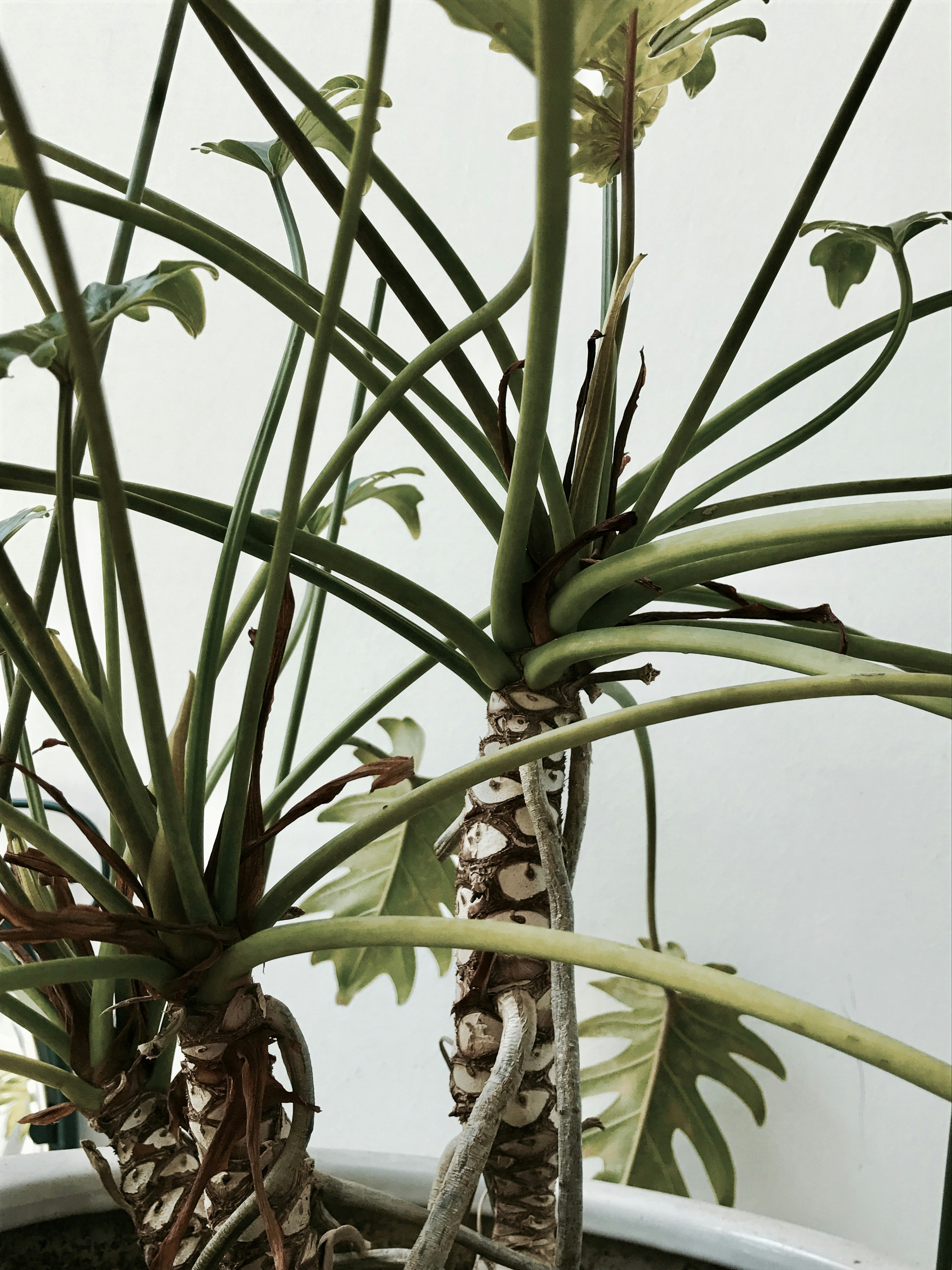 Free Unsplash photo from lee jayoung