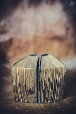 Close-up of an open book with earthy toned illustrations and textured paper.