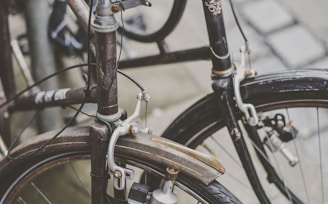 two brown and black commuter's bicycles