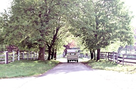 A vintage truck is driving down a narrow country road flanked by large, lush green trees and wooden fences. The scene is dappled with sunlight filtering through the leaves, creating a serene and nostalgic atmosphere.