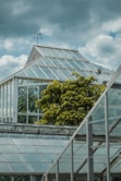 glass greenhouse under cloudy sky