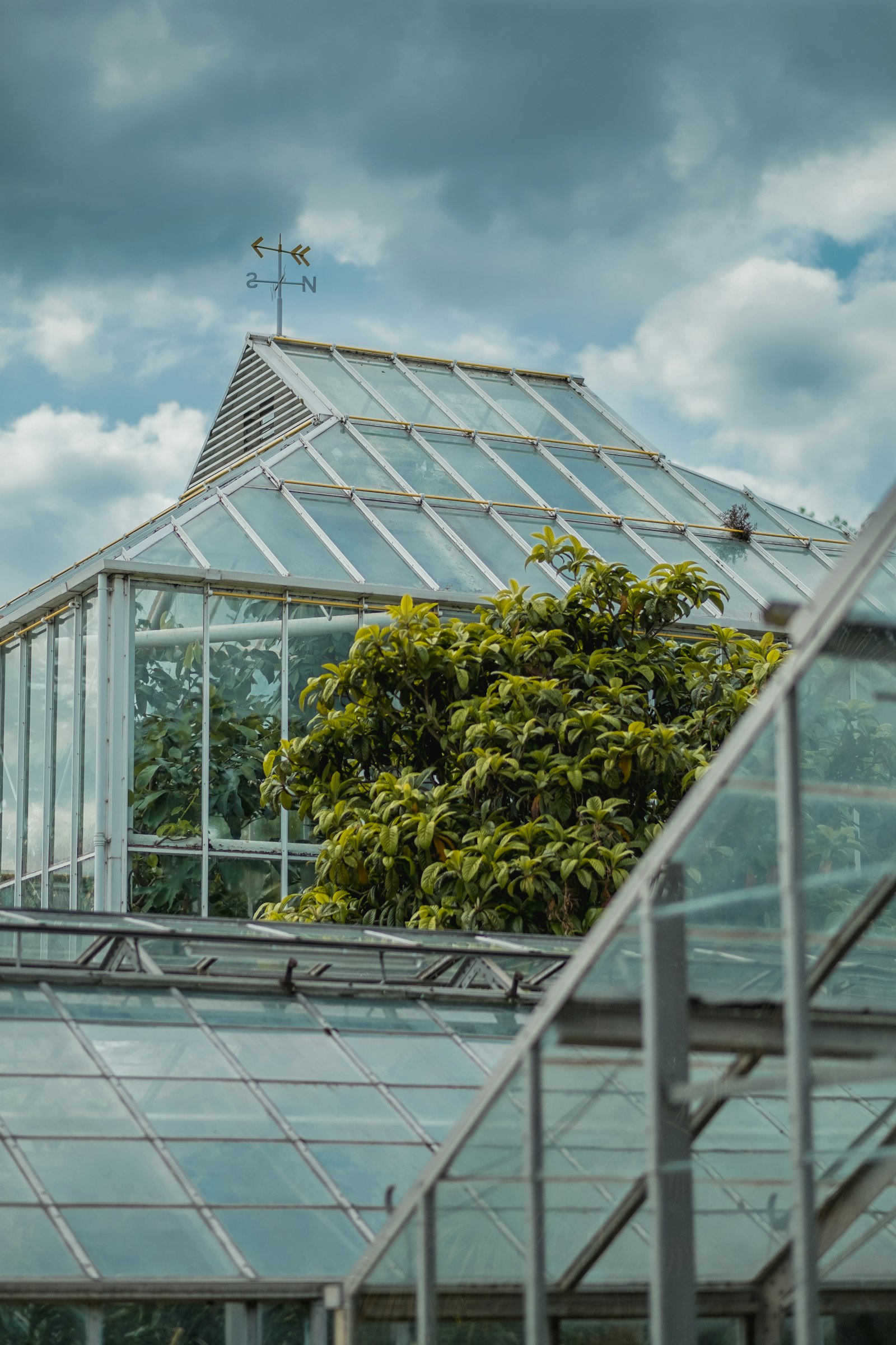 Fujifilm X-Pro2 + Fujifilm XF 56mm F1.2 R sample photo. Glass greenhouse under cloudy photography