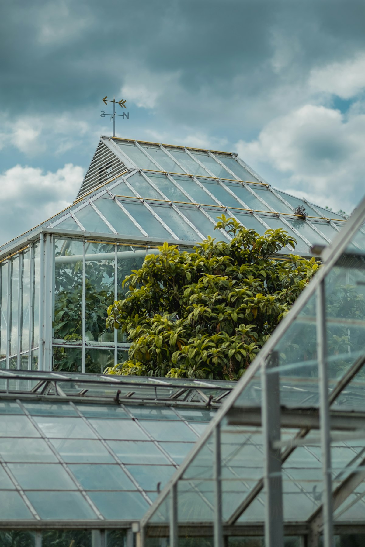 Weathered white-framed greenhouse glass panes against a partly cloudy sky, with a metal weathervane on the ridge.