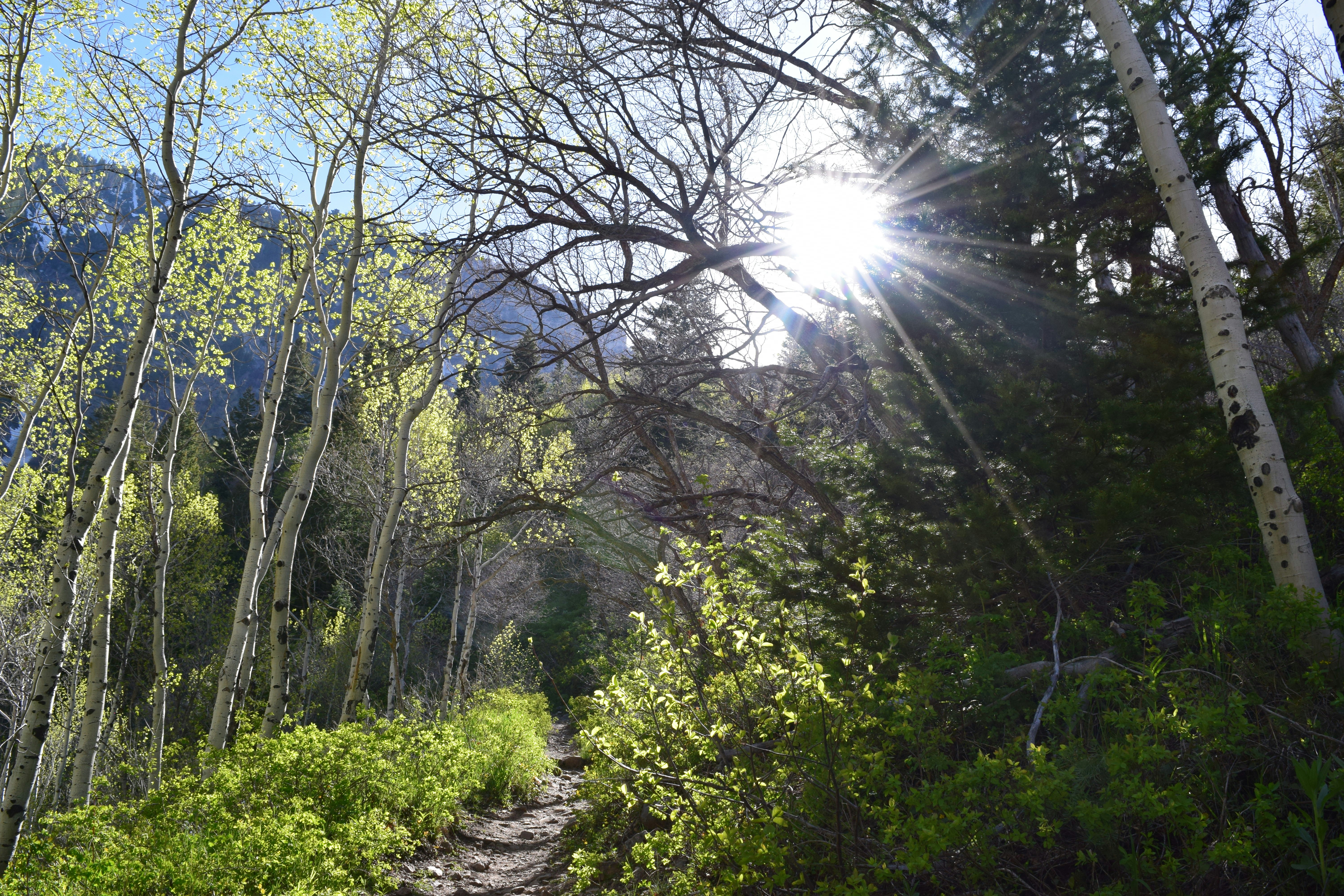 Free Unsplash photo from Anna Pavlova Hodgson