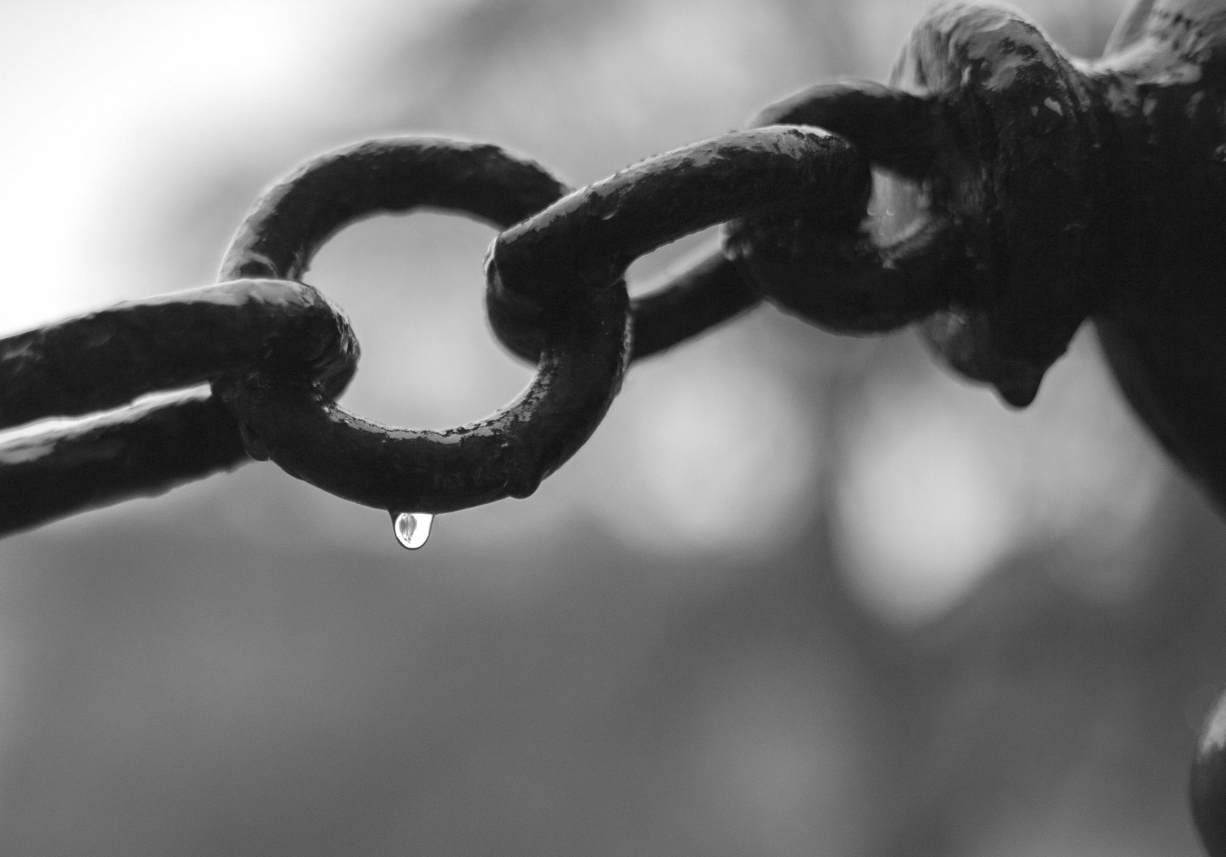 Free Unsplash photo from Pierfranco  ferronato