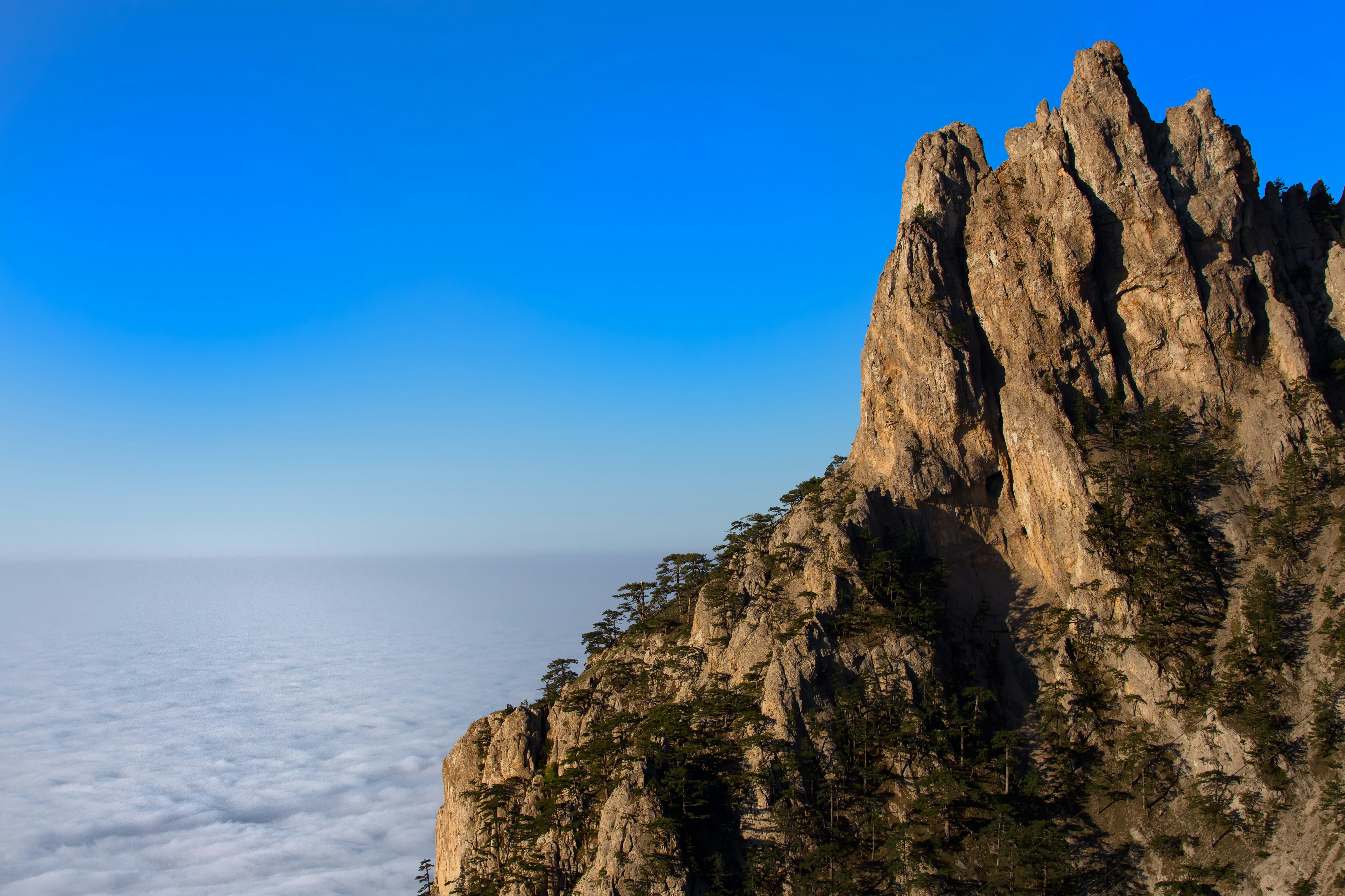 Free Unsplash photo from Vladimir Bondarenko