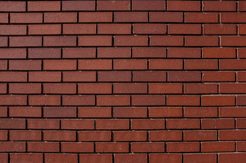 pared de ladrillos rojos