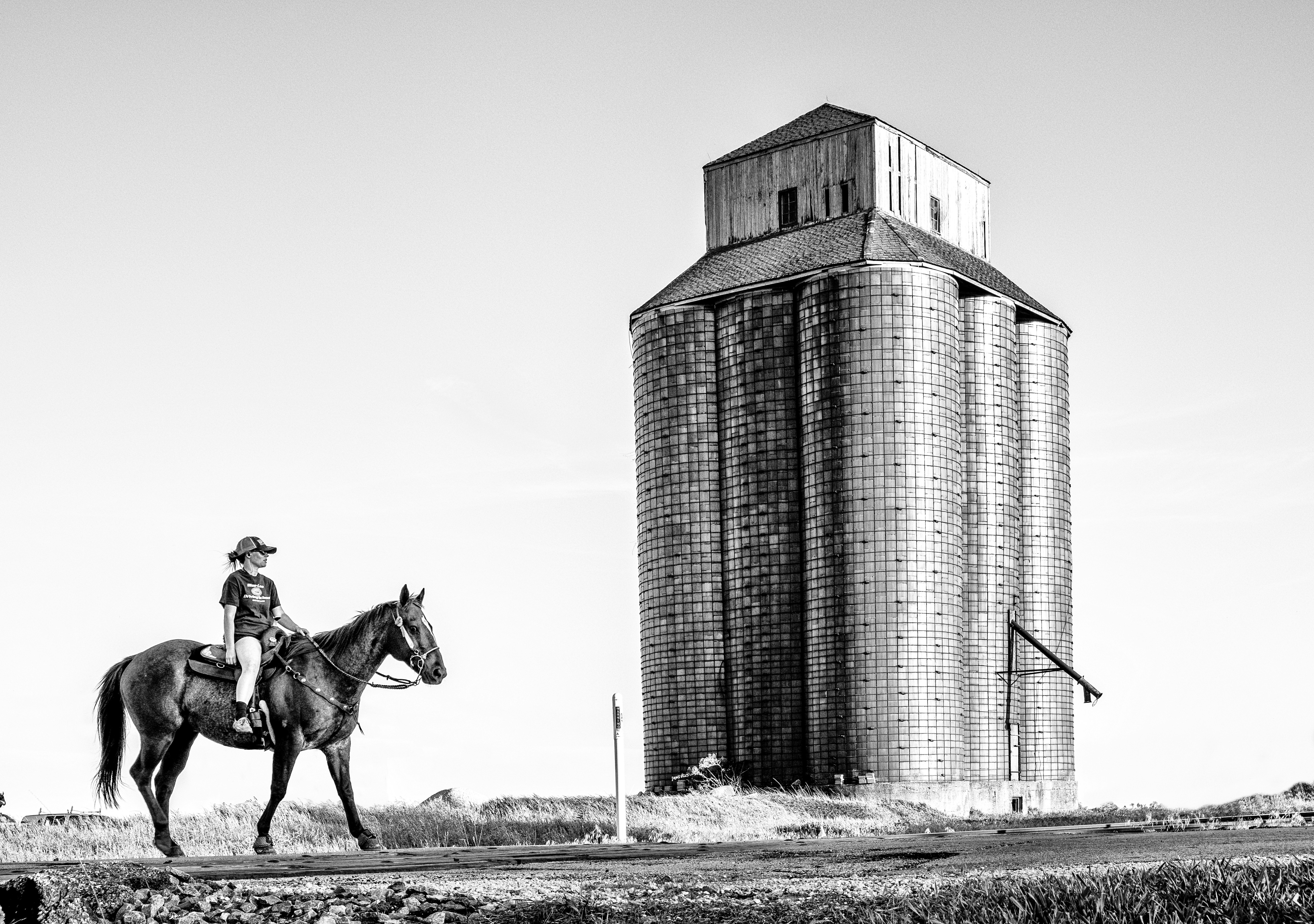 Free Unsplash photo from Chris Edwards