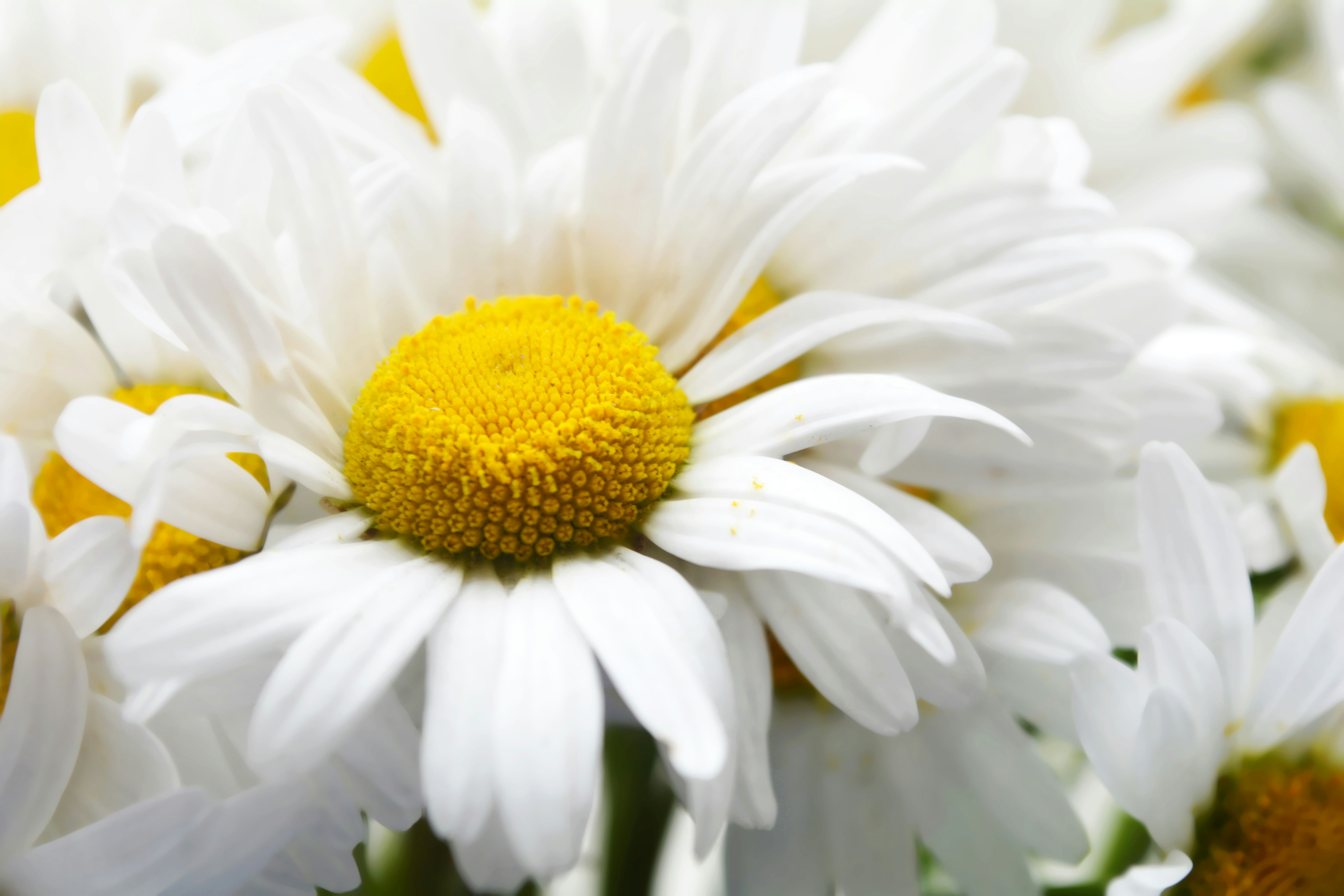 Free Unsplash photo from Yulia Abramova