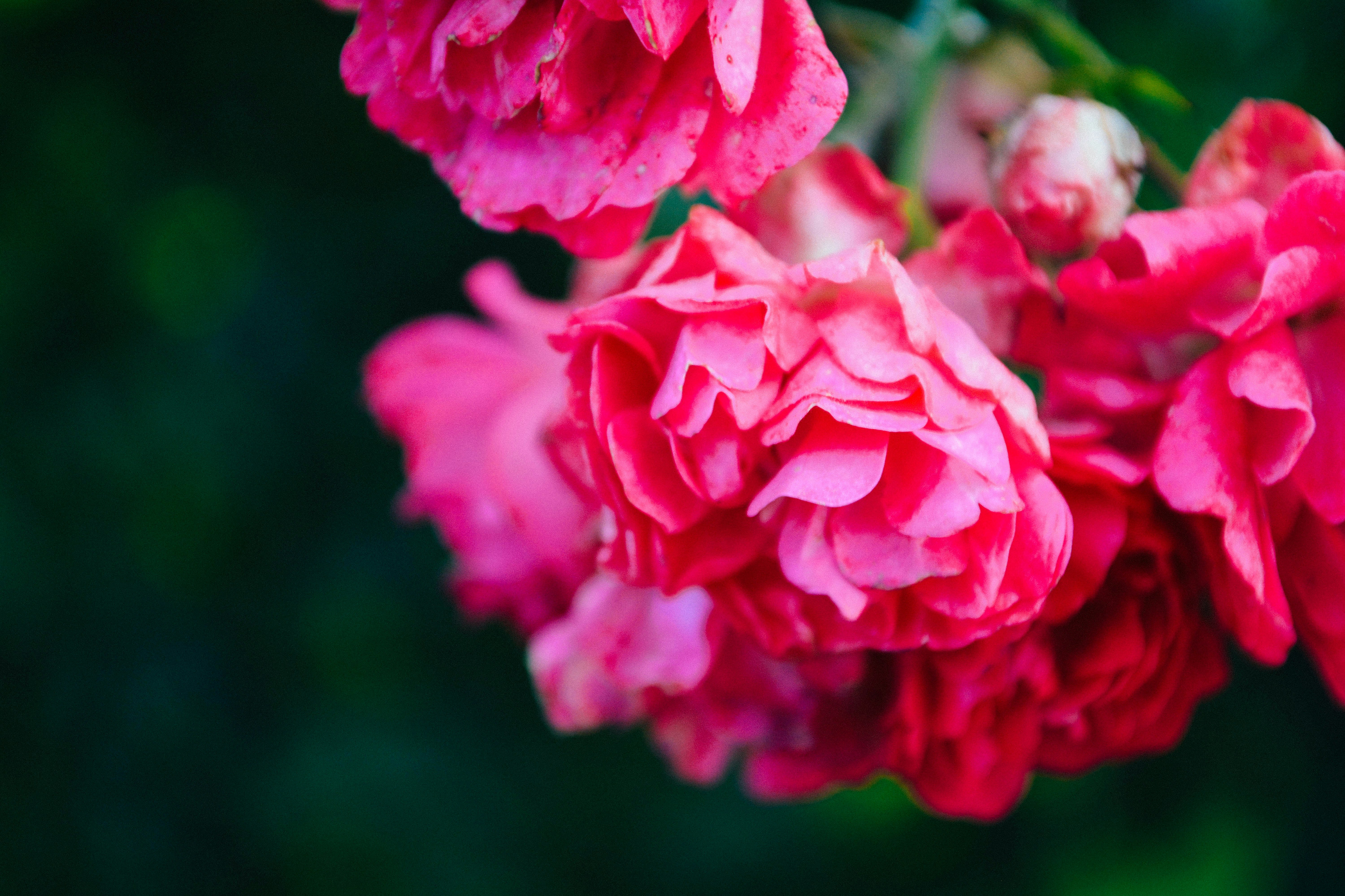 Free Unsplash photo from Yulia Abramova