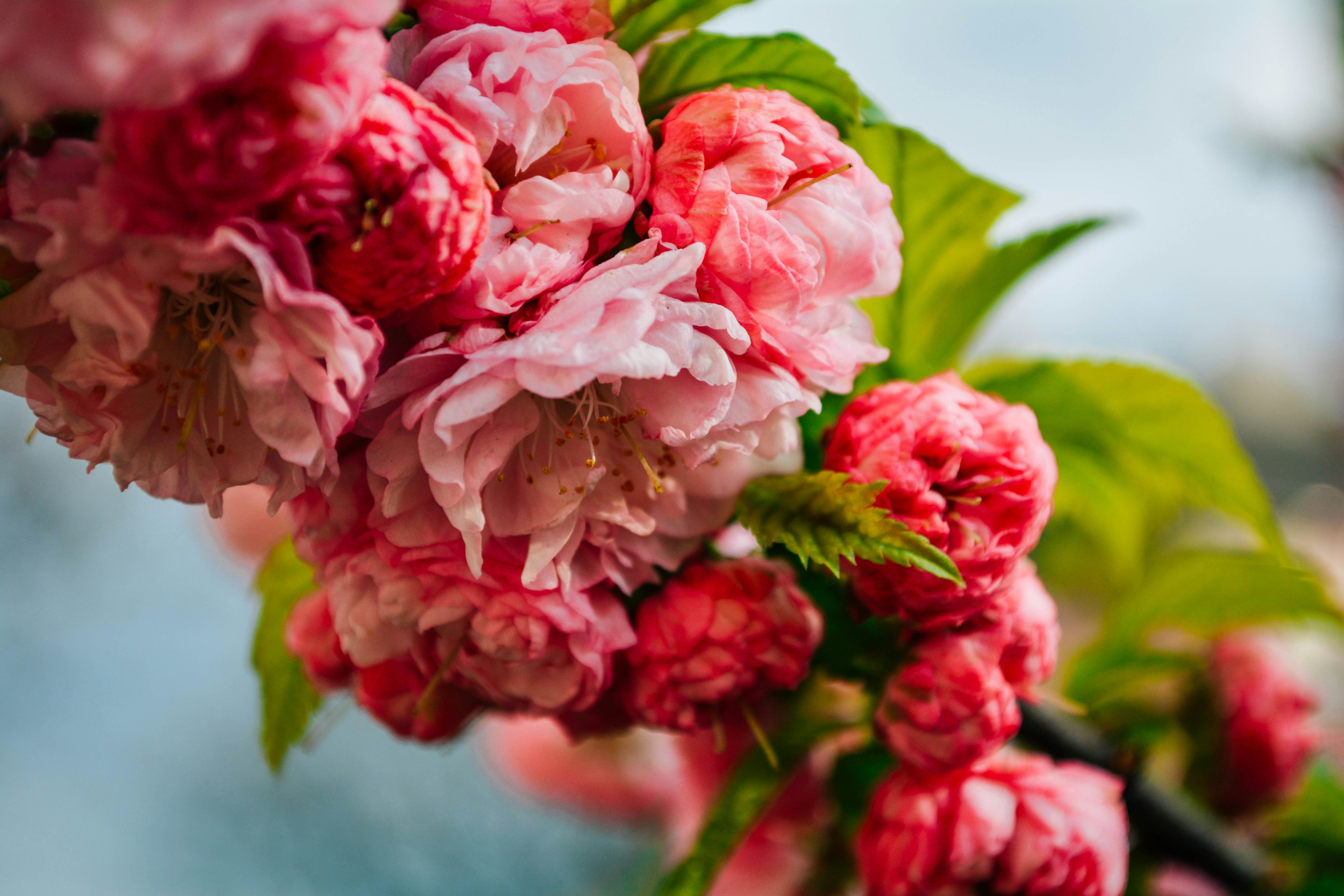 Free Unsplash photo from Yulia Abramova