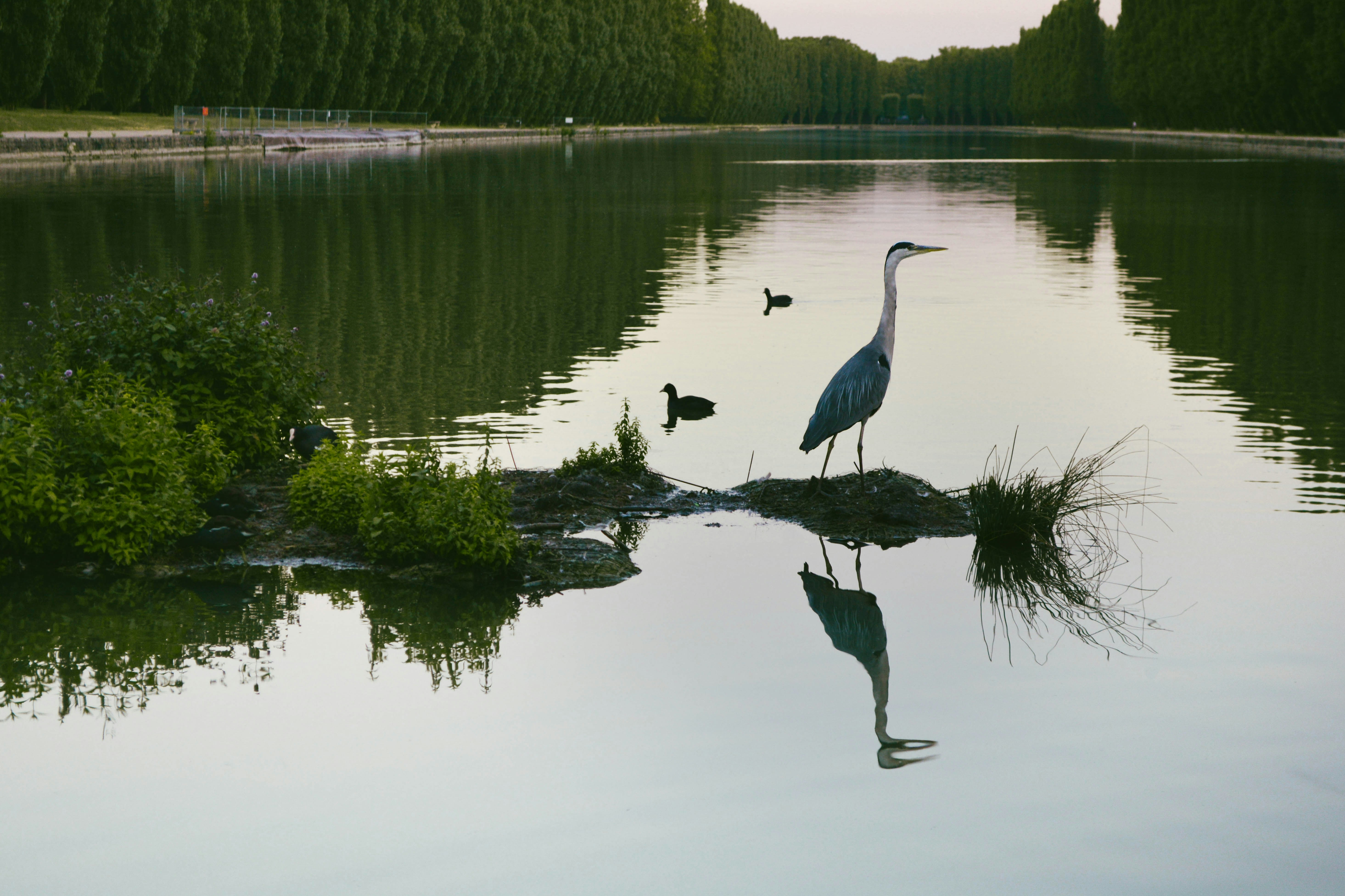 Free Unsplash photo from Yulia Abramova