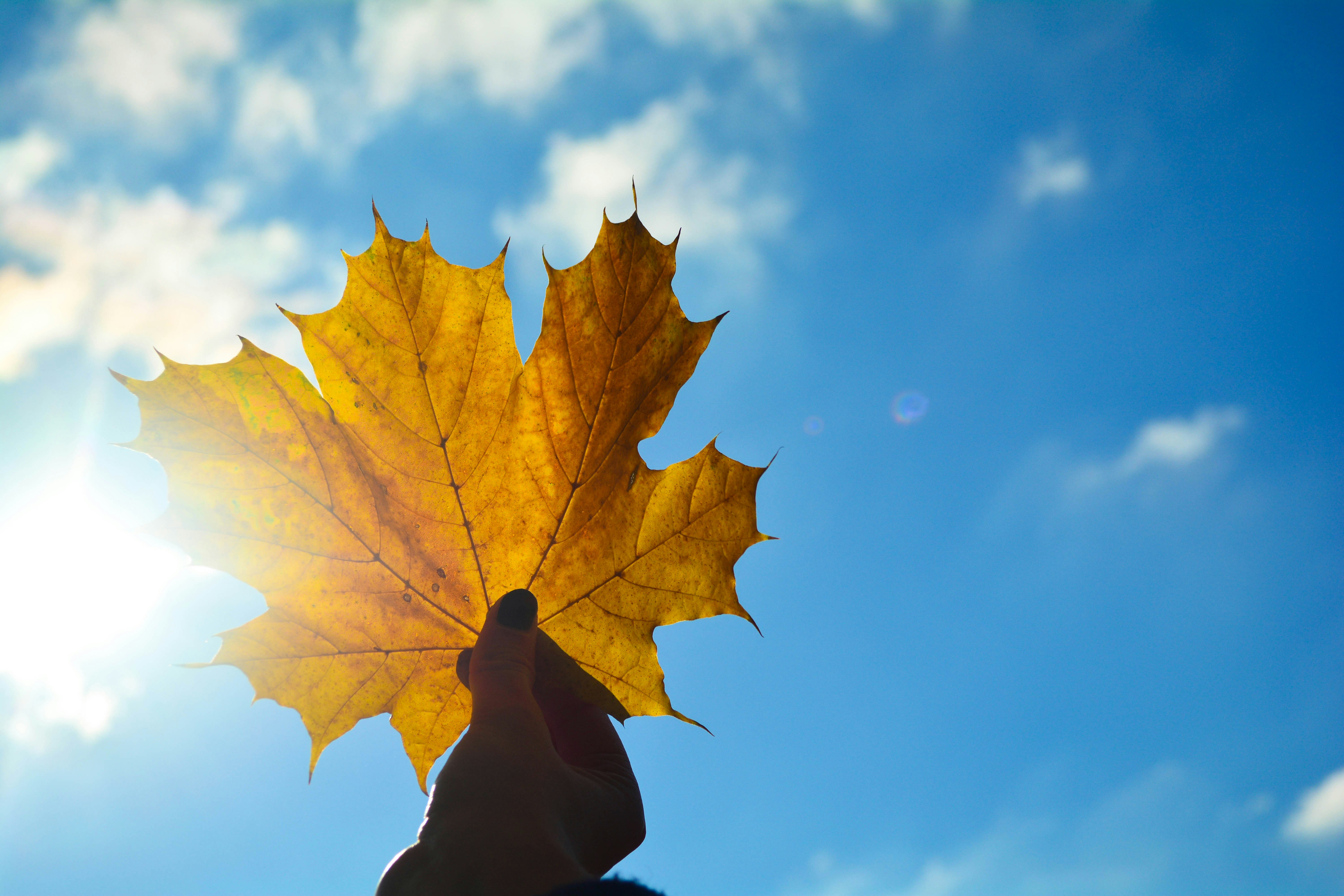 Free Unsplash photo from Yulia Abramova