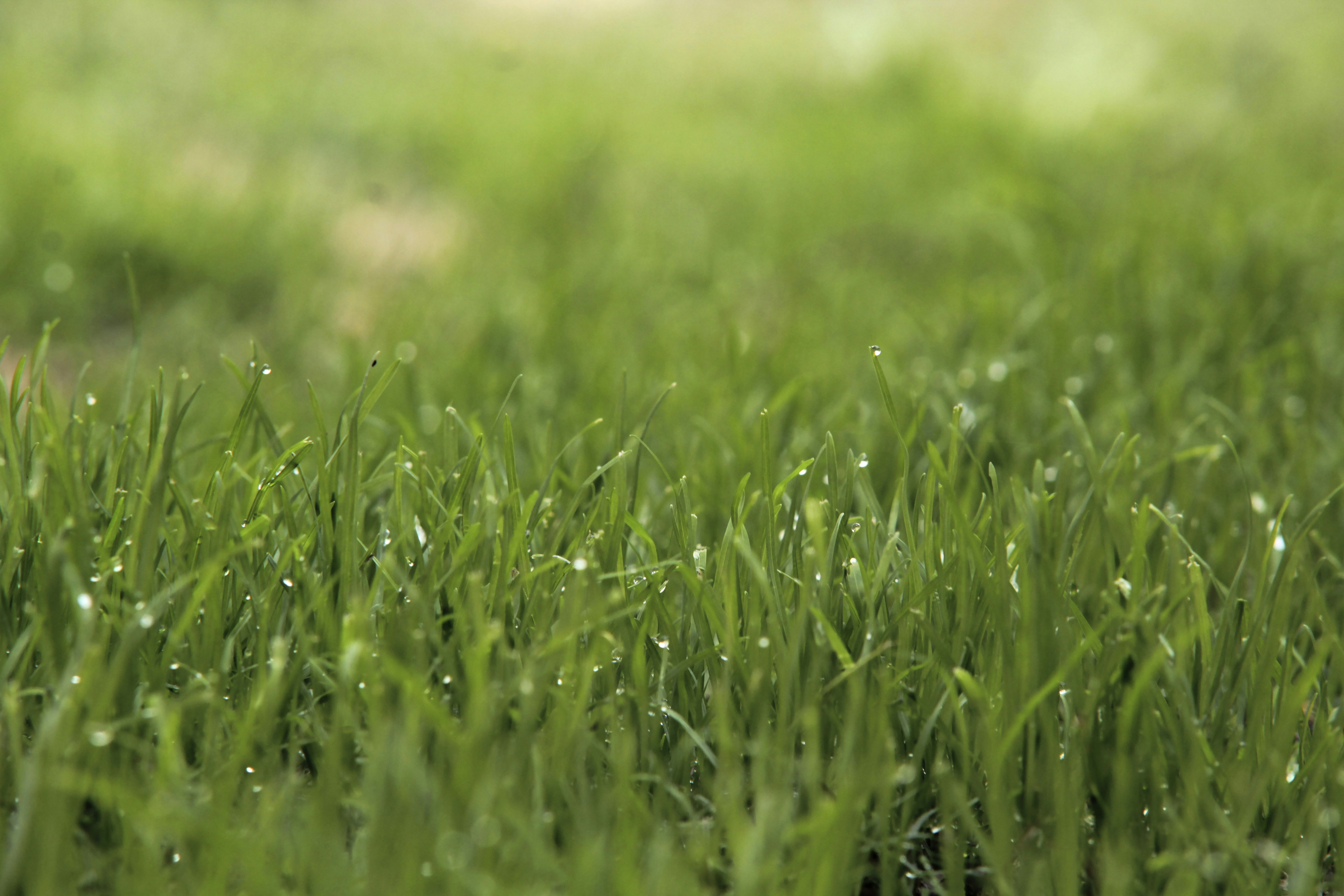 Free Unsplash photo from Eduardo Jaeger