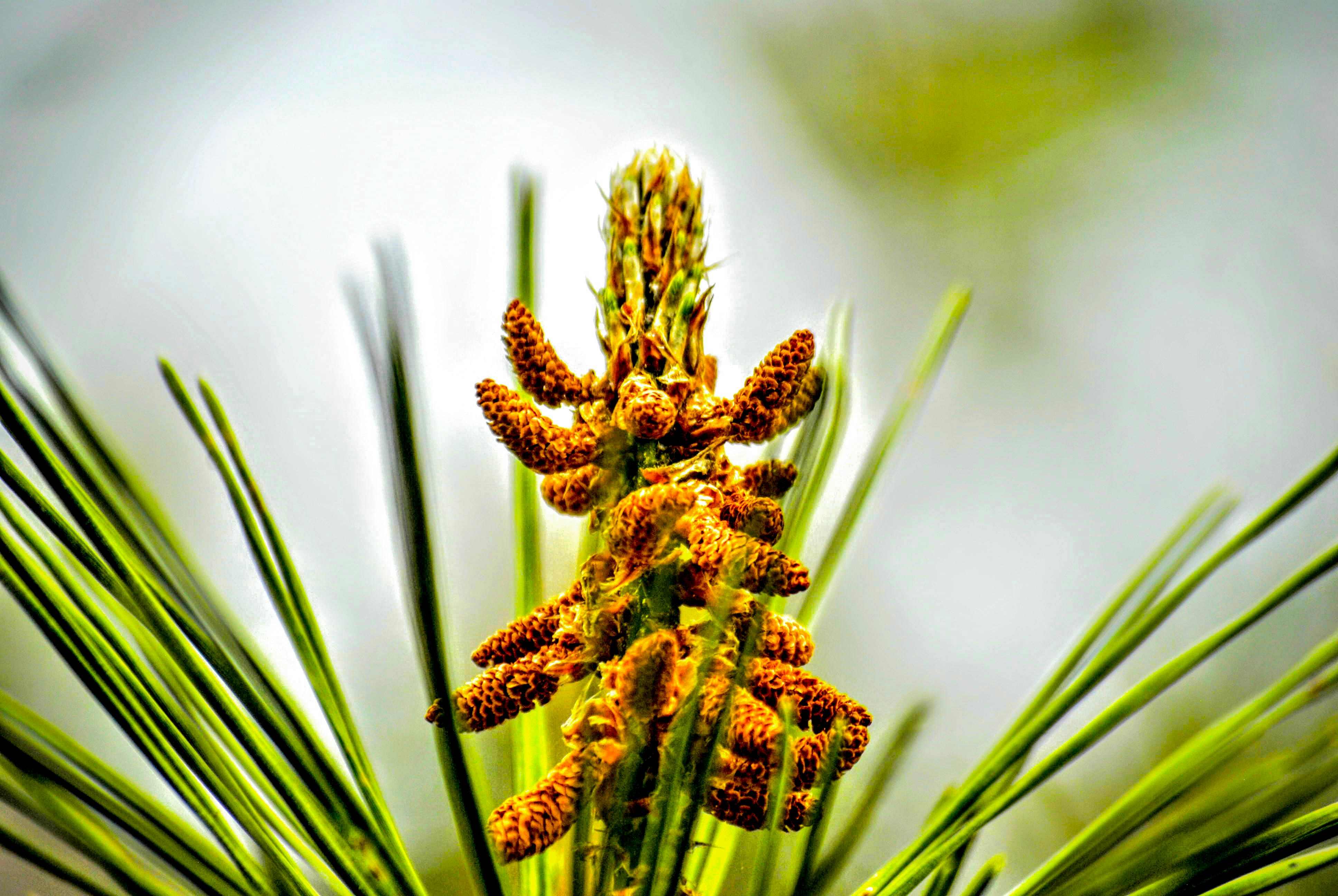 Free Unsplash photo from Spencer Walker