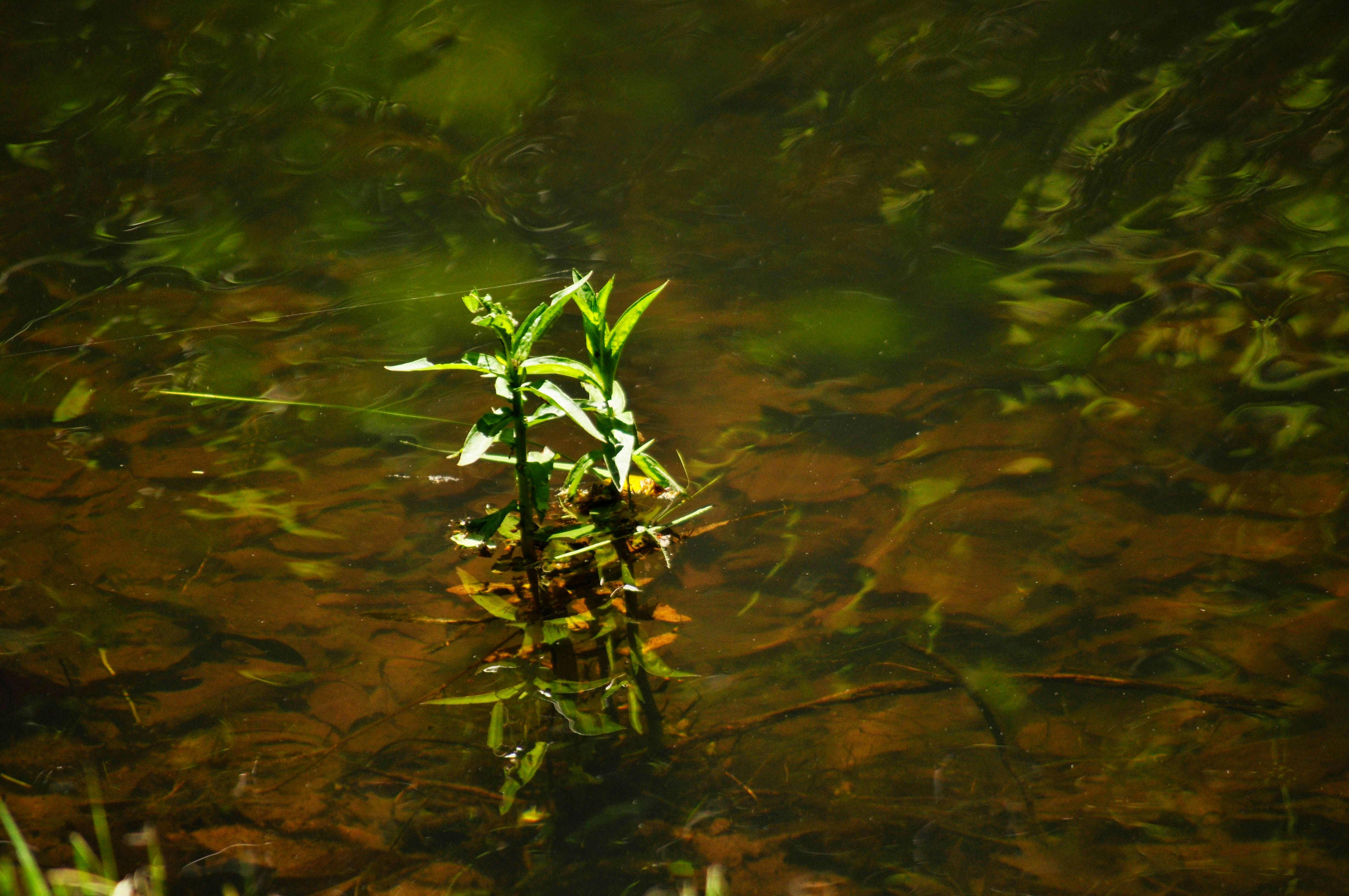 Free Unsplash photo from Spencer Walker