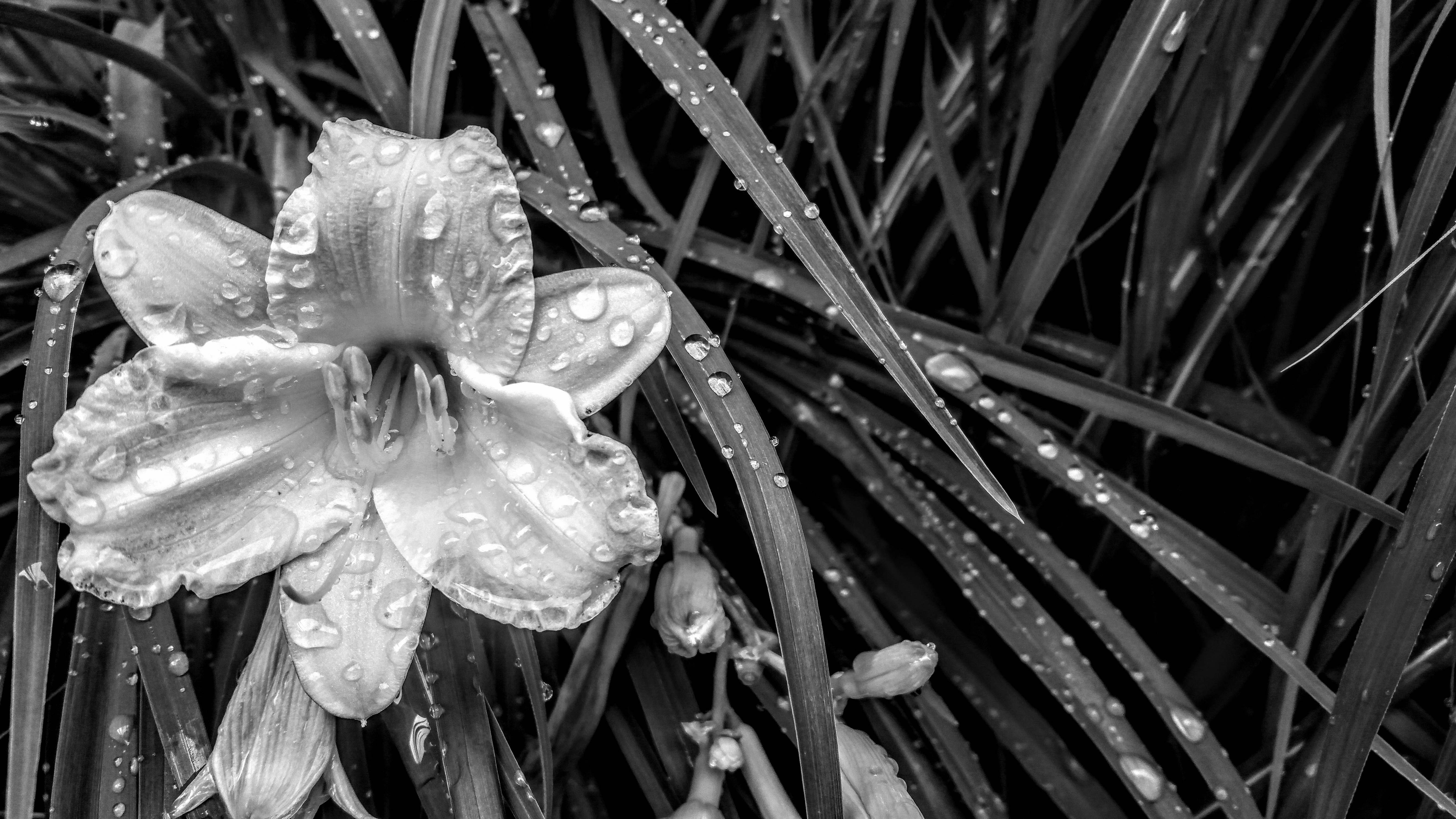 Free Unsplash photo from Spencer Walker