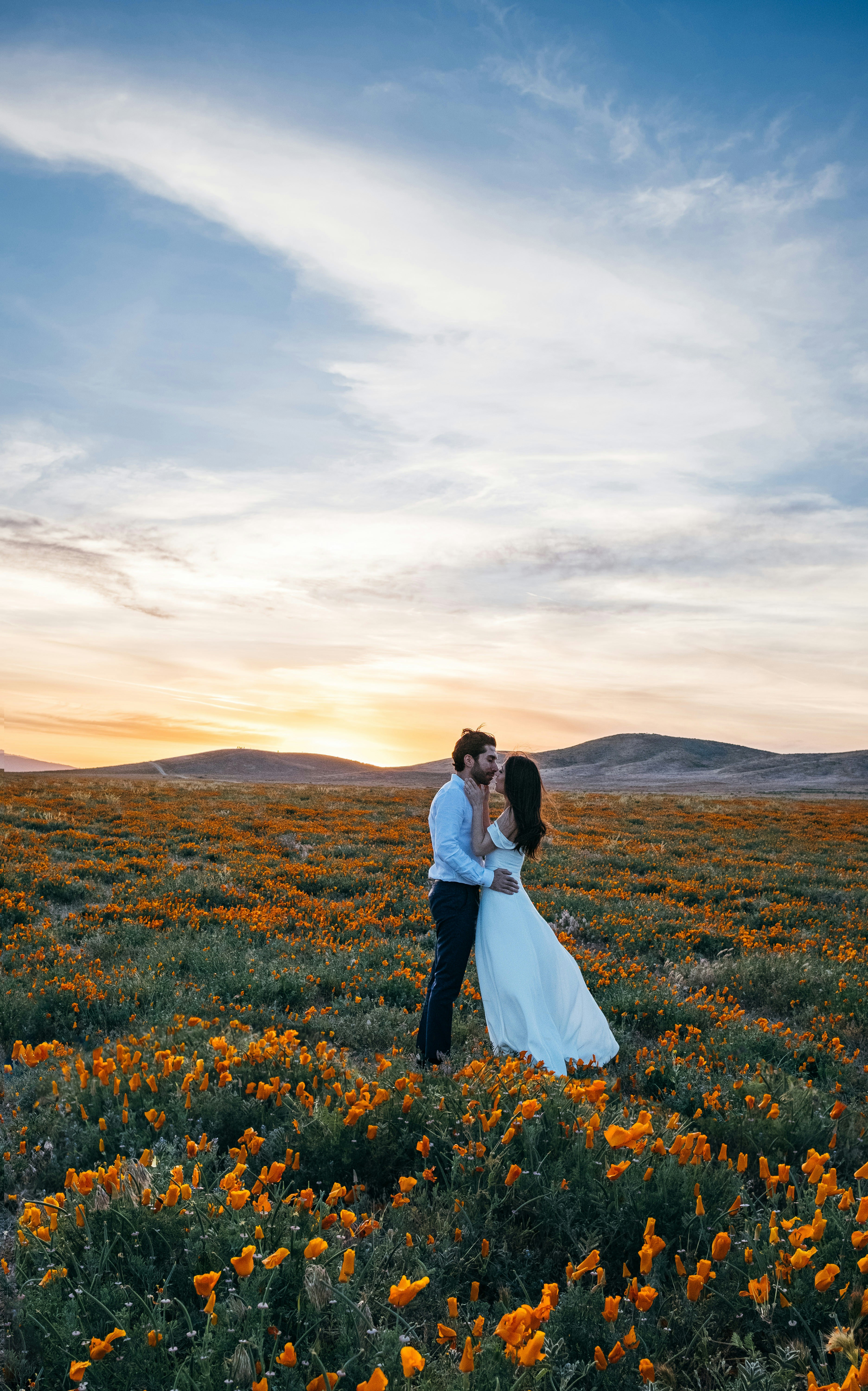 Free Unsplash photo from Matt McK