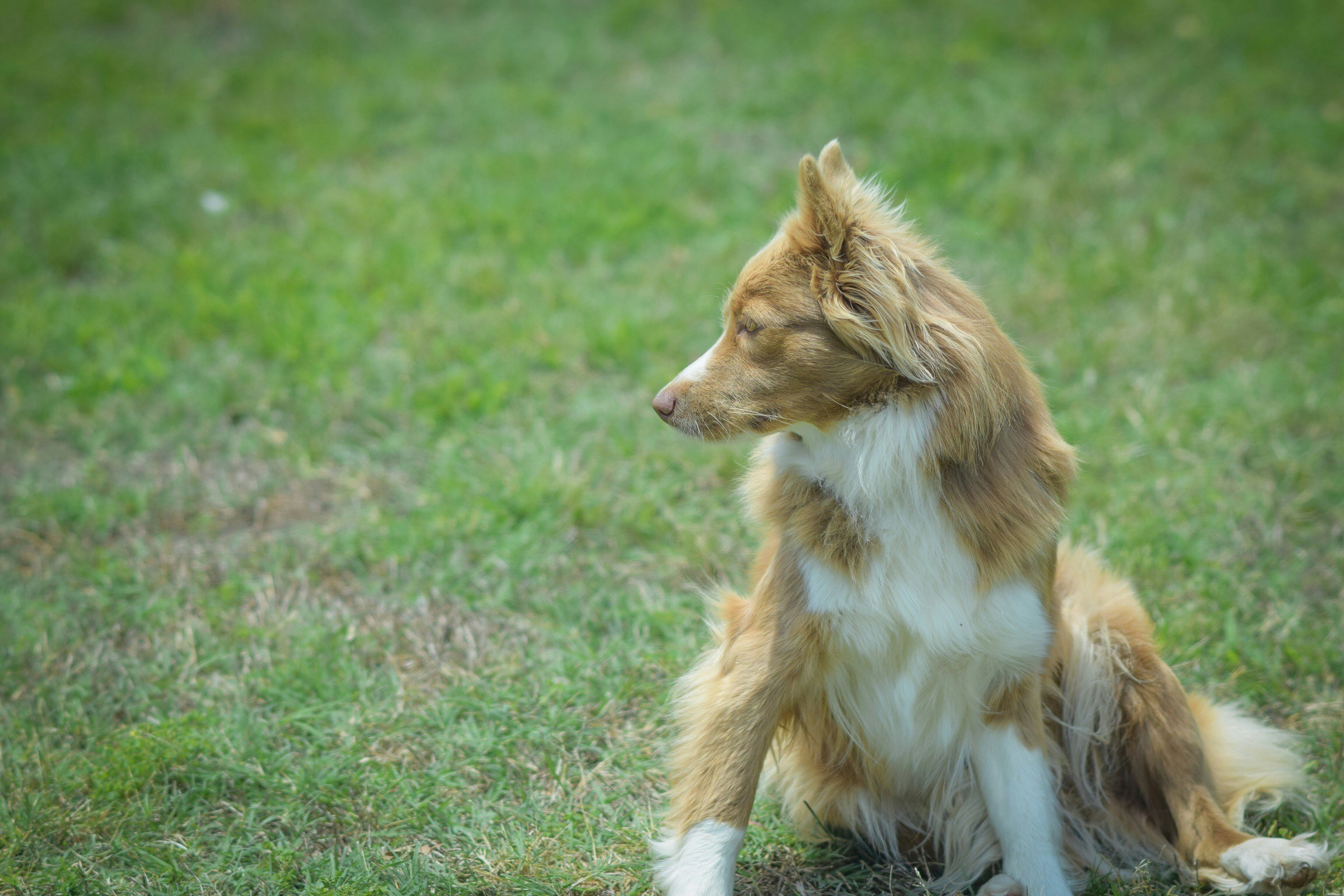 Free Unsplash photo from Multa Media