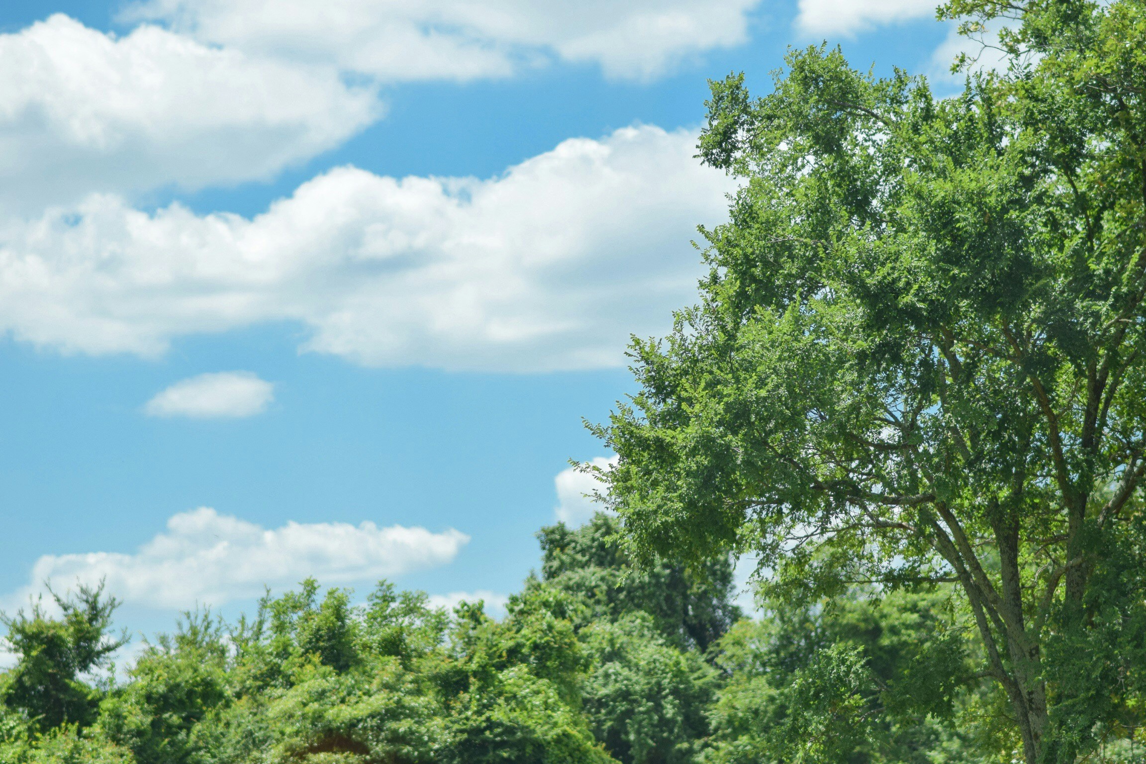 Free Unsplash photo from Multa Media