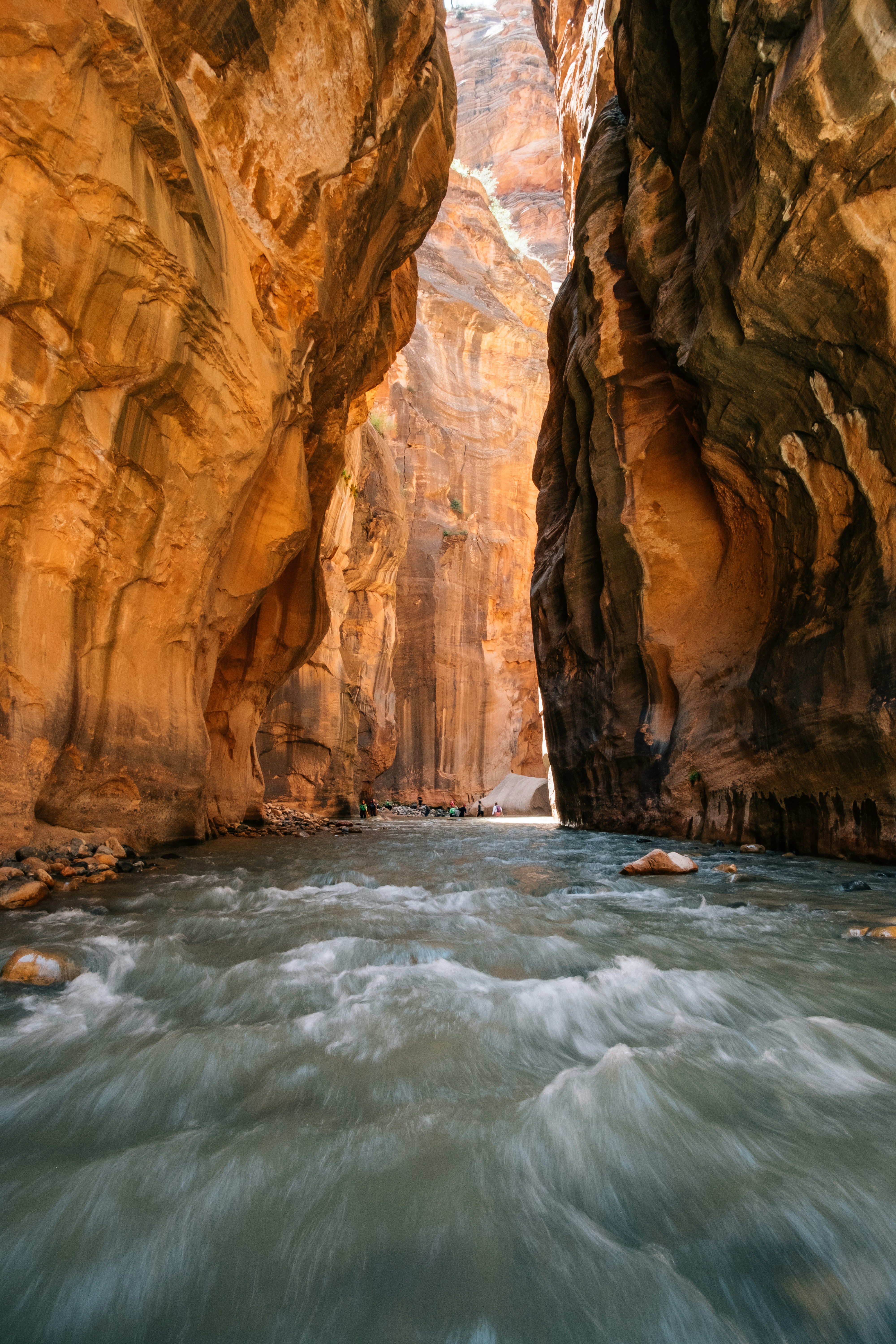 Free Unsplash photo from Matt McK