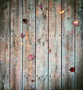 Weathered wooden planks form the background, creating a rustic surface. Scattered across the planks are several fallen autumn leaves in varying shades of red, brown, and yellow.