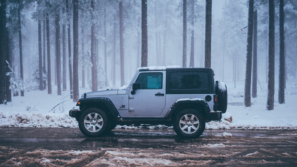 SUV tout-terrain blanc et noir sur route marron