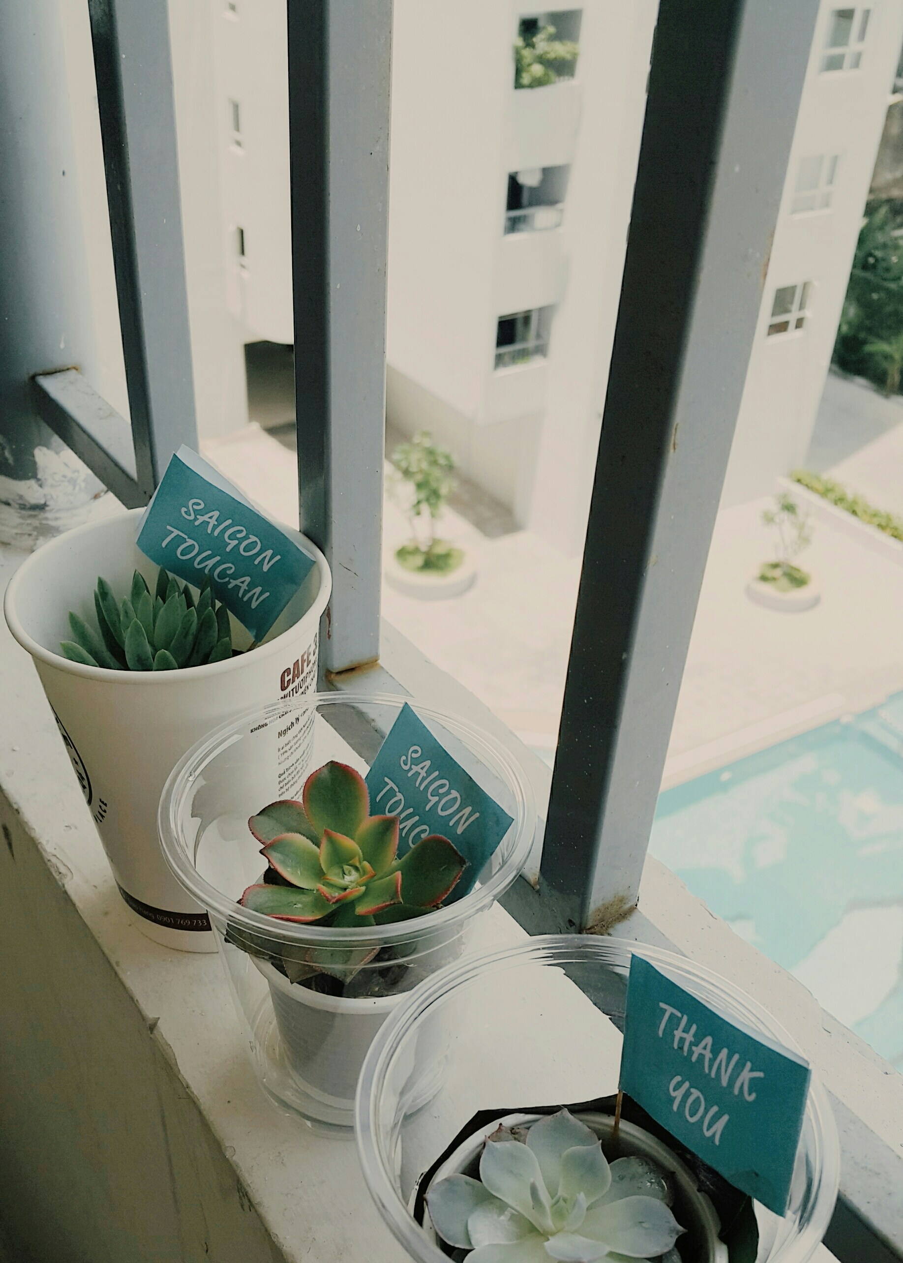 Free Unsplash photo from Tiên Thuỷ