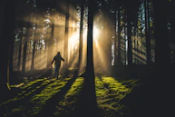 person on forest
