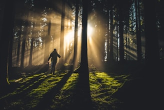 person in forest