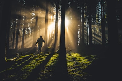 person in forest