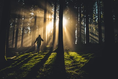 person on forest photo – Free Forest Image on Unsplash