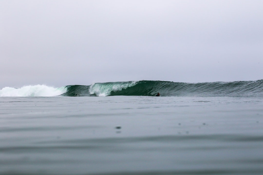 Surfing photo spot Newport Beach Point Dume